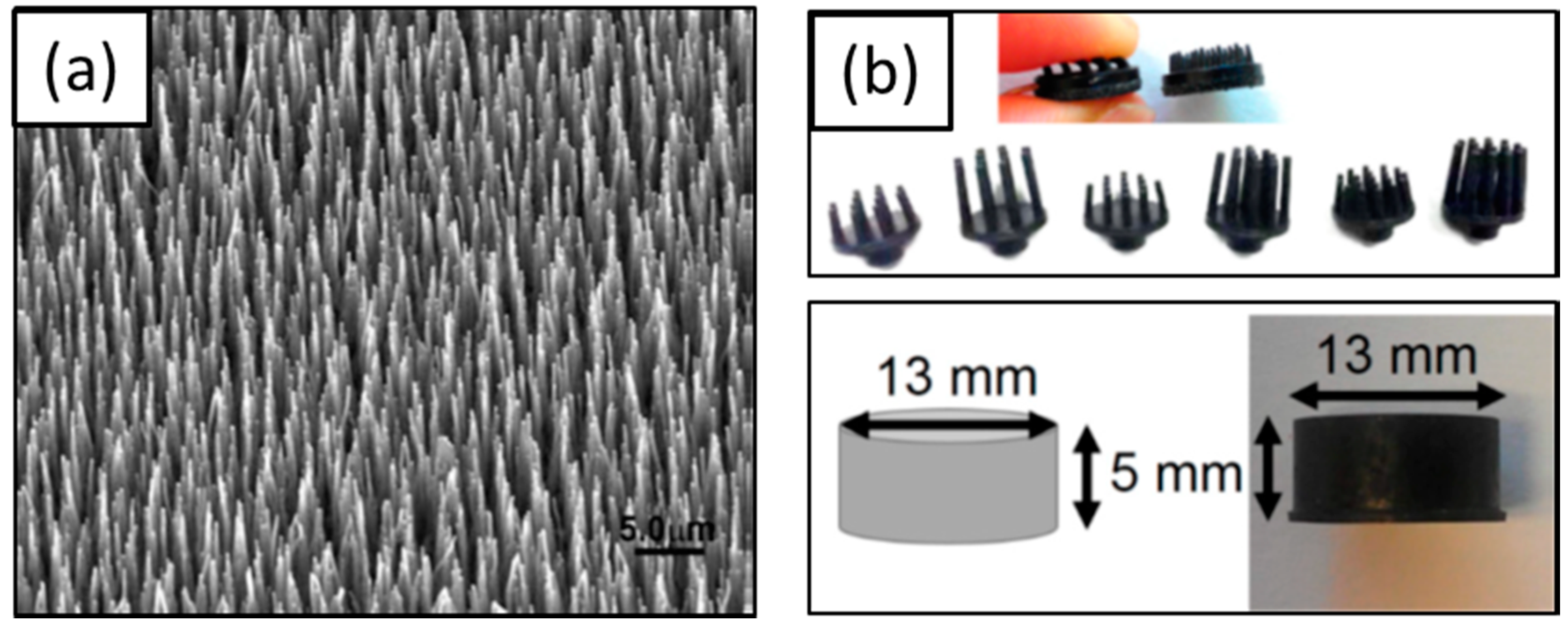 Materials 11 01995 g006