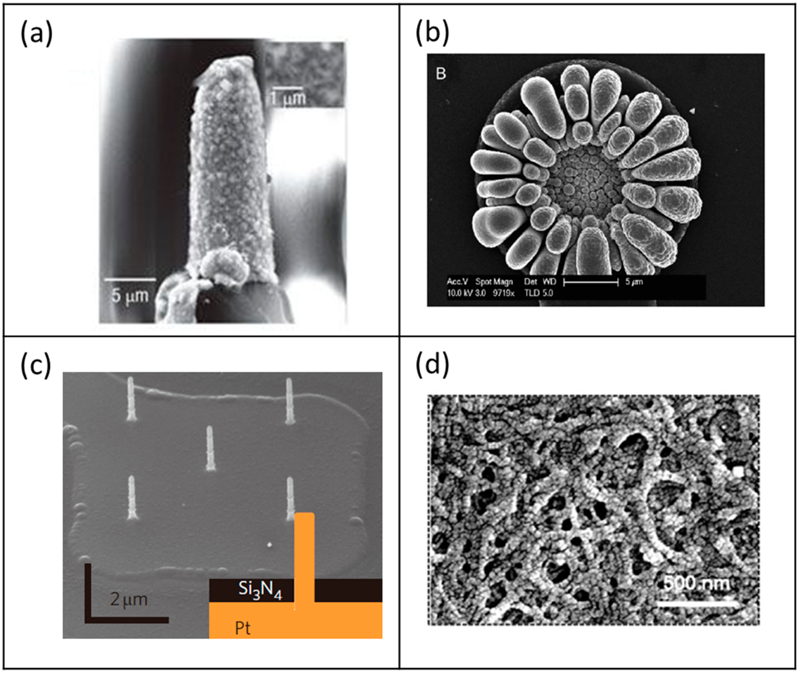 Materials 11 01995 g009