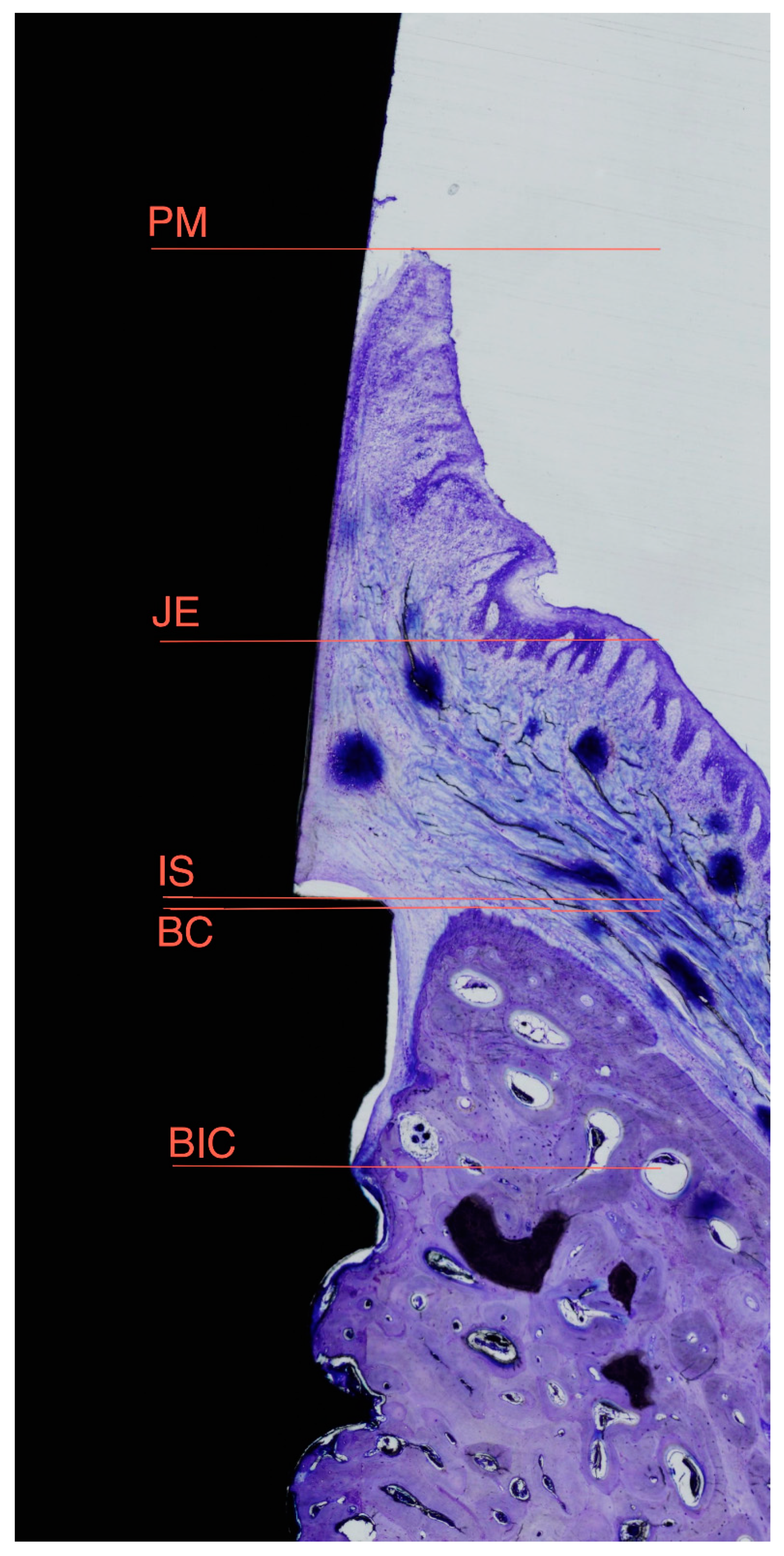 Materials 11 02007 g004