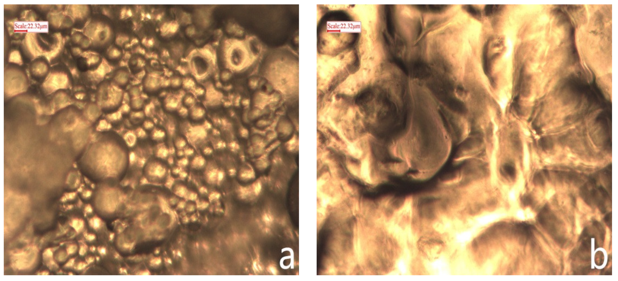 Materials 11 02020 g009 550