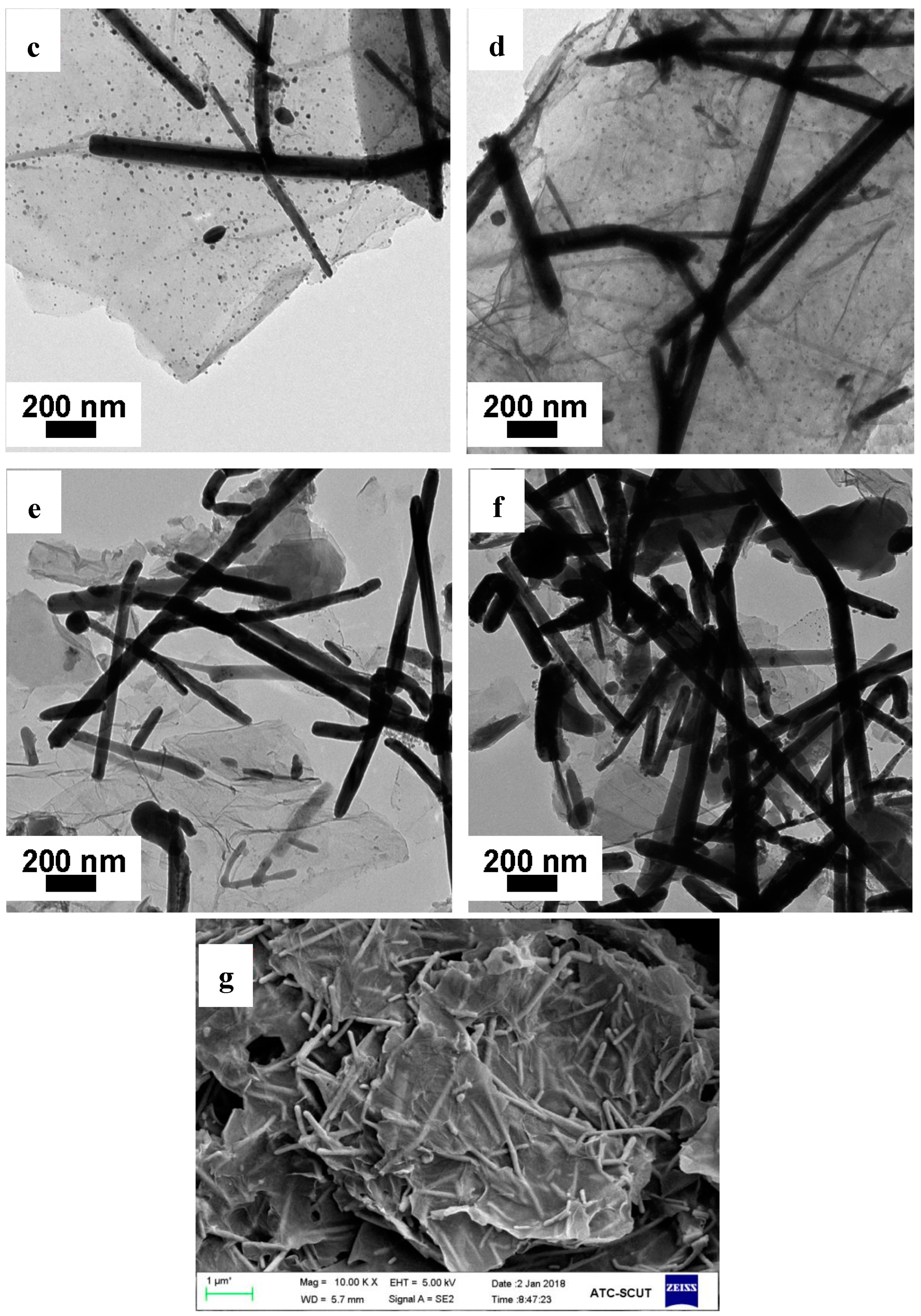Materials 11 02028 g004b Materials 11 02028 g004b