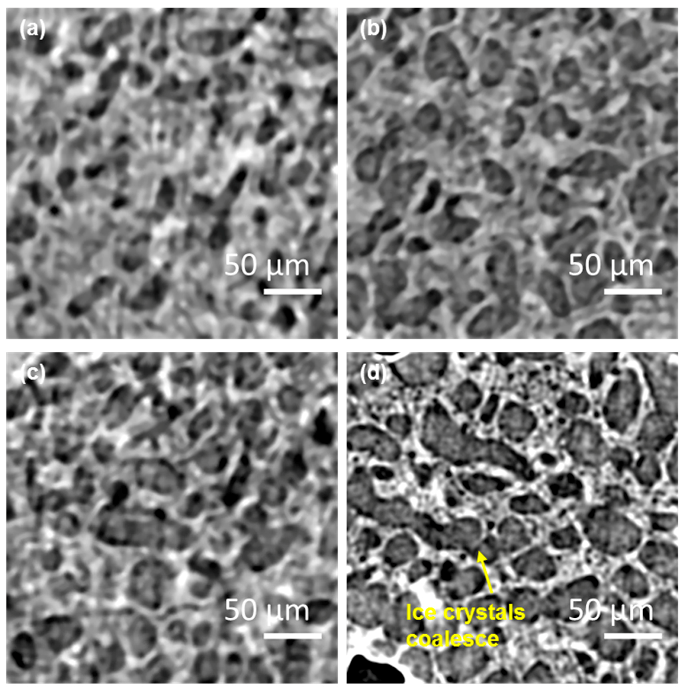 Materials 11 02031 g005