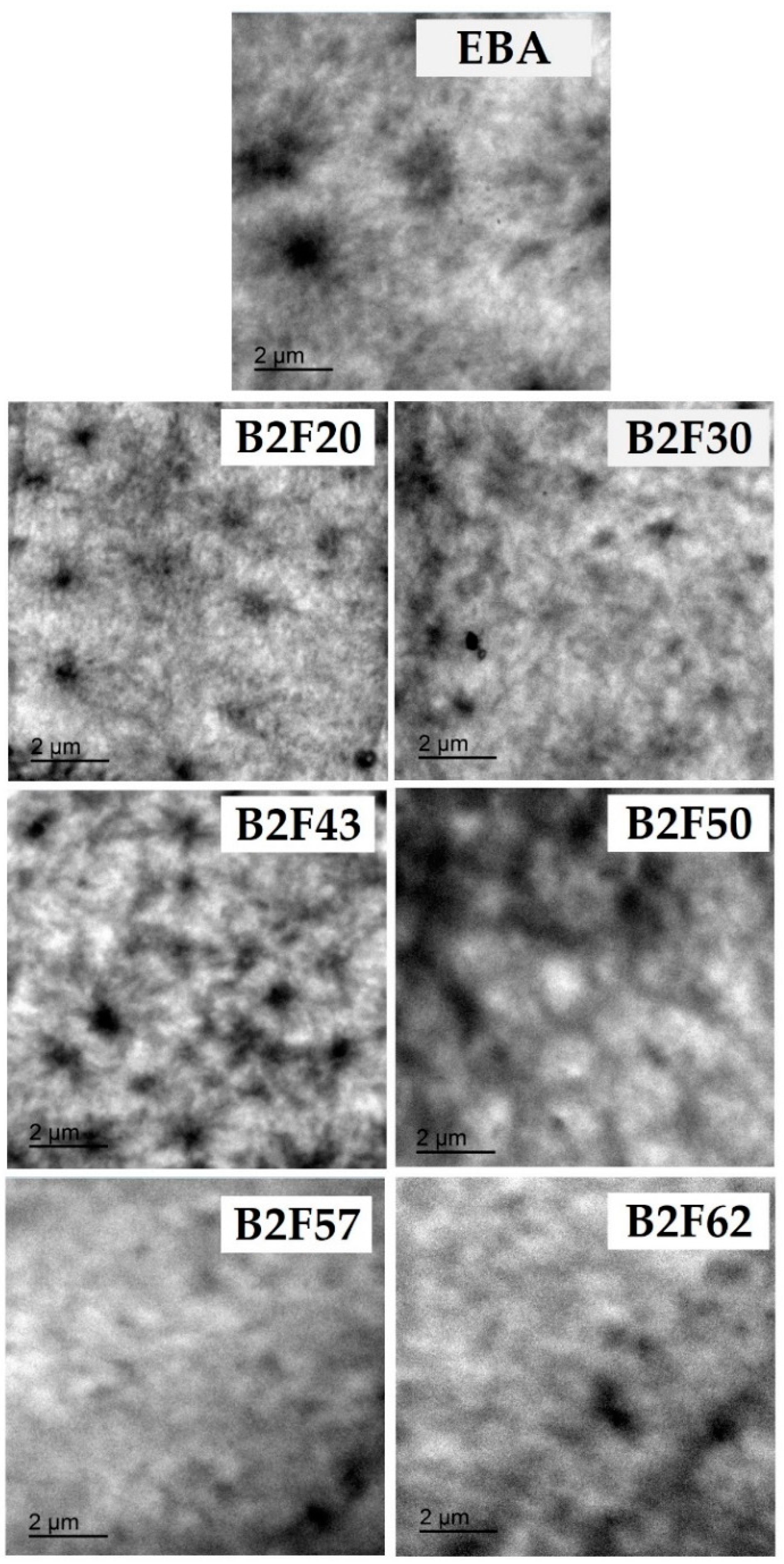 Materials 11 02037 g008 550