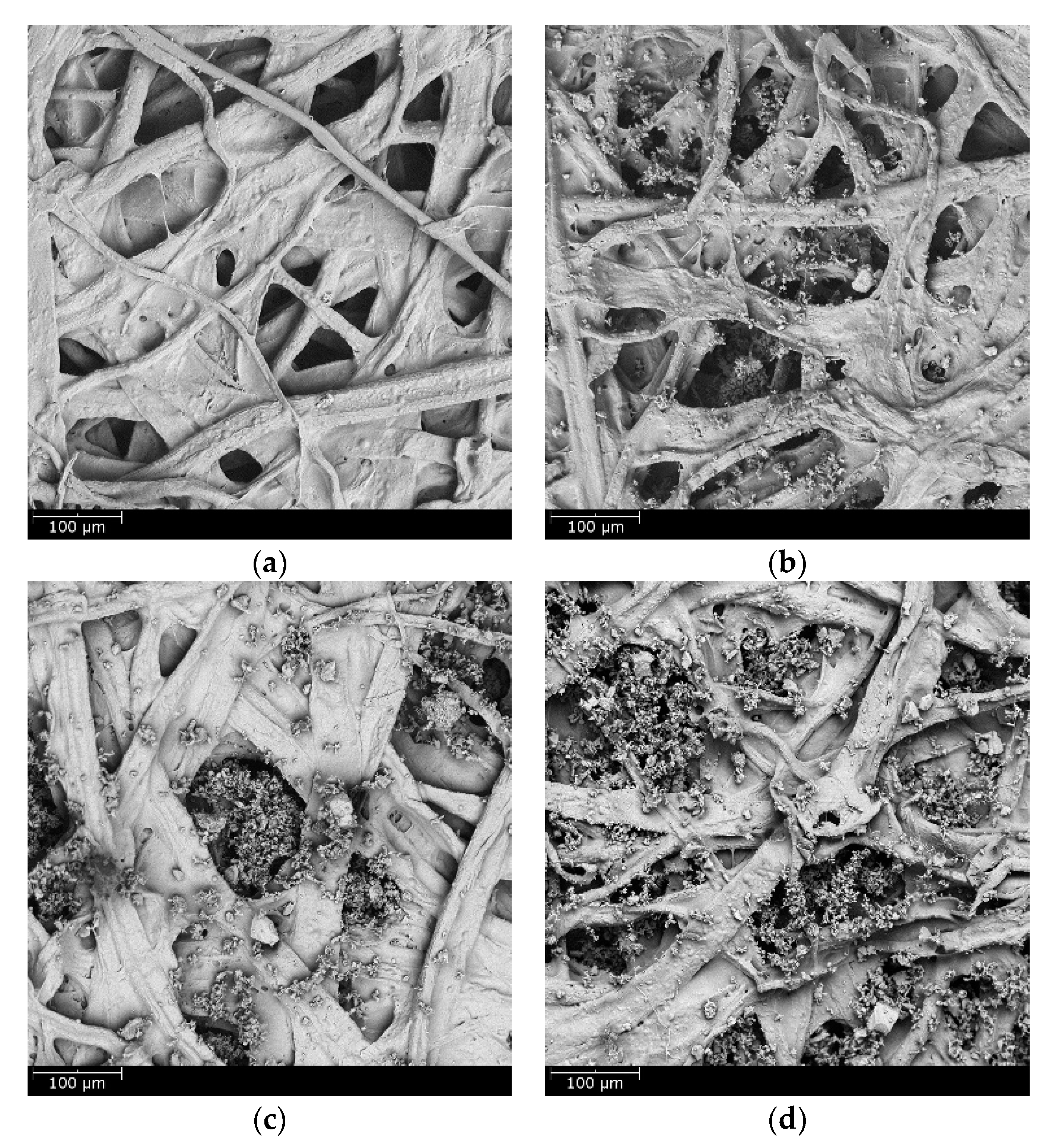 Materials 11 02038 g013