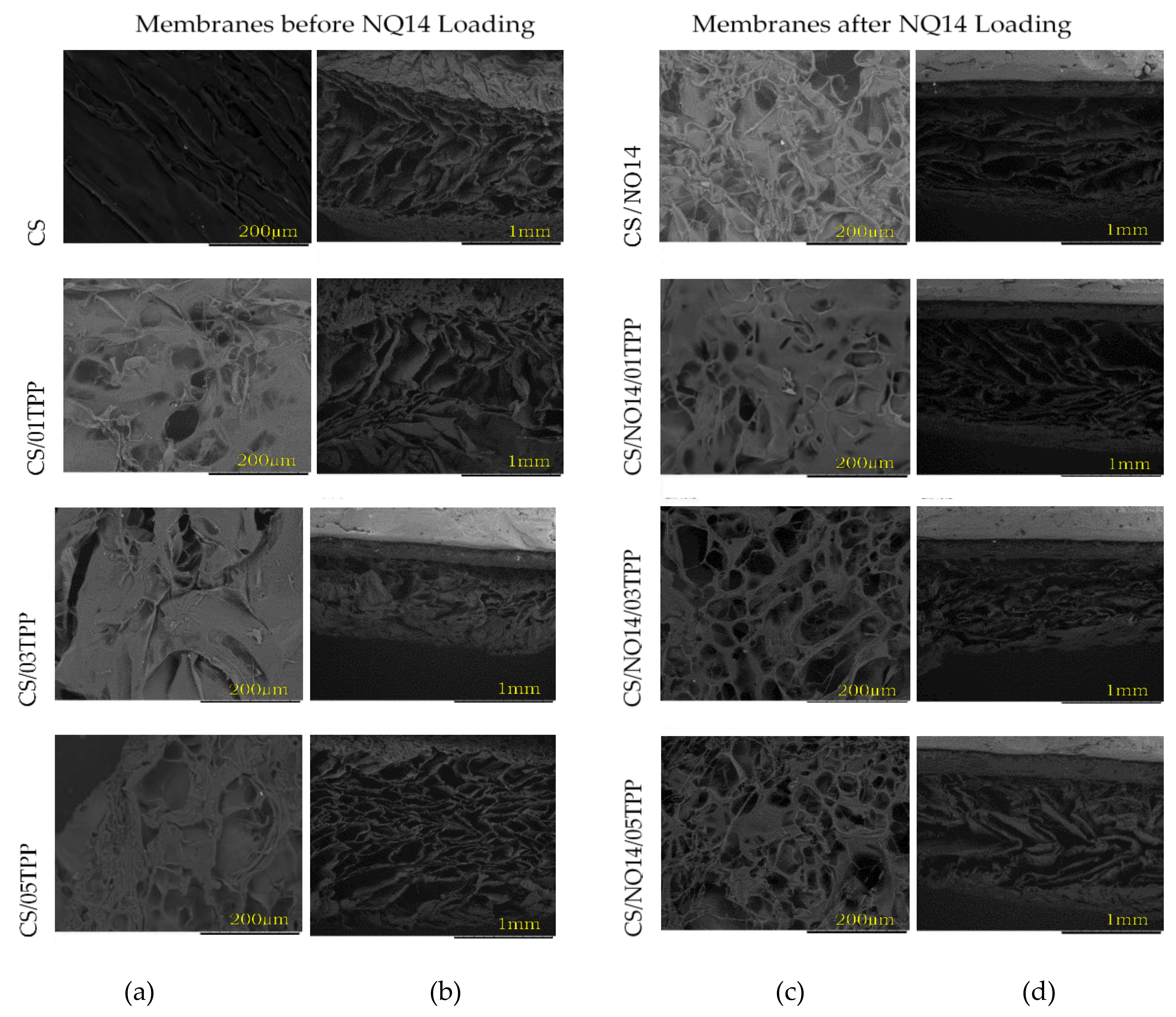Materials 11 02051 g006