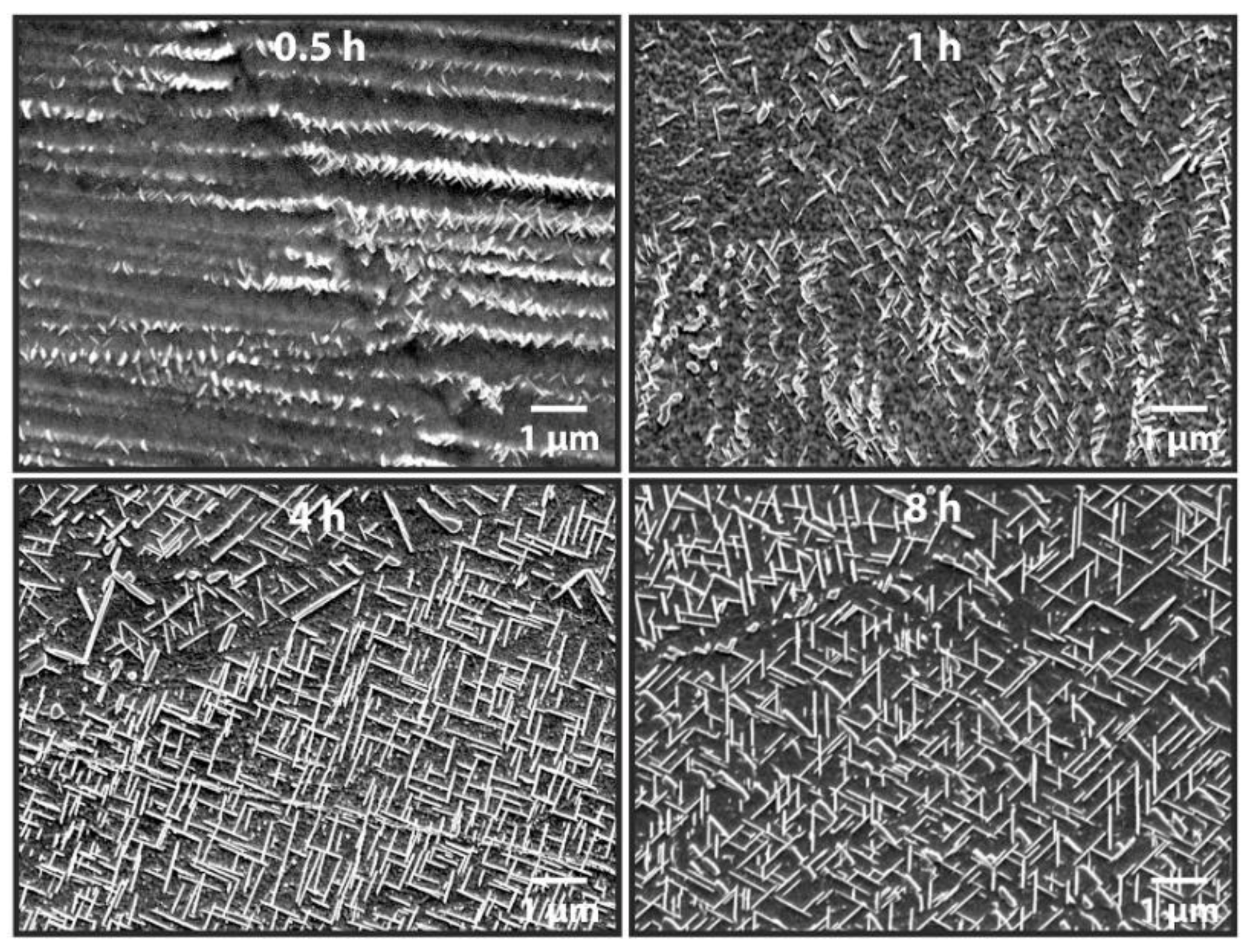 Materials 11 02070 g014