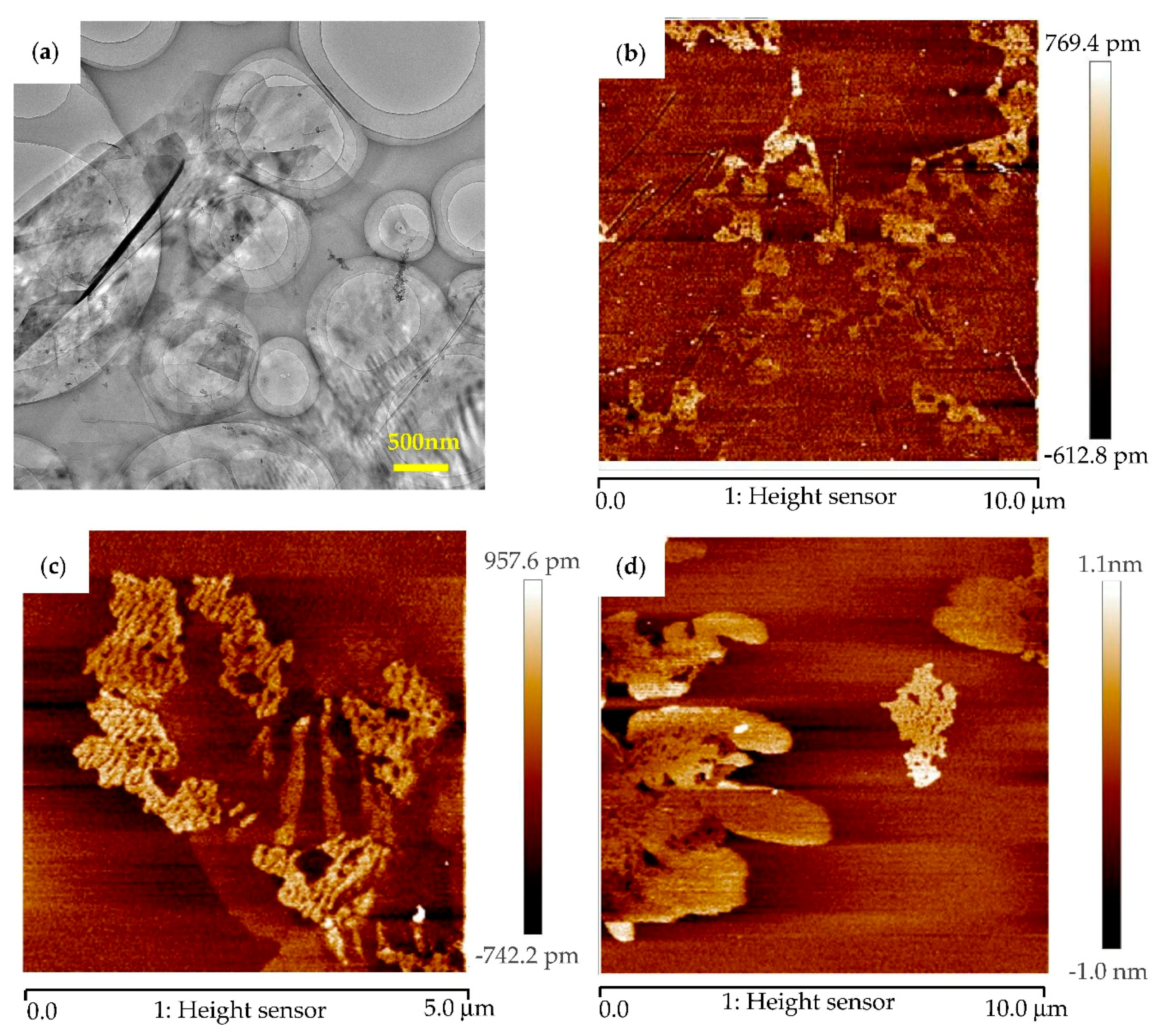 Materials 11 02071 g004 Materials 11 02071 g004