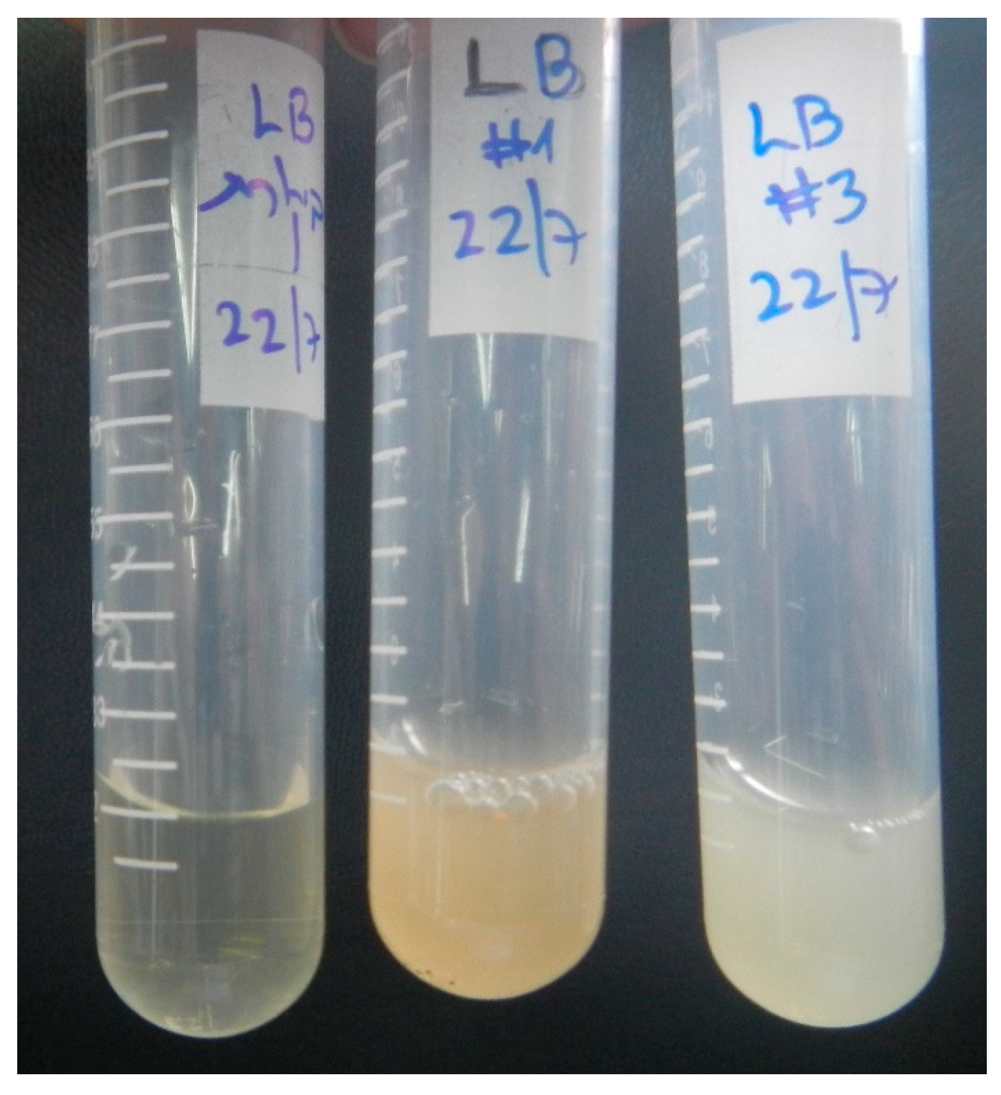 Materials 11 02123 g005