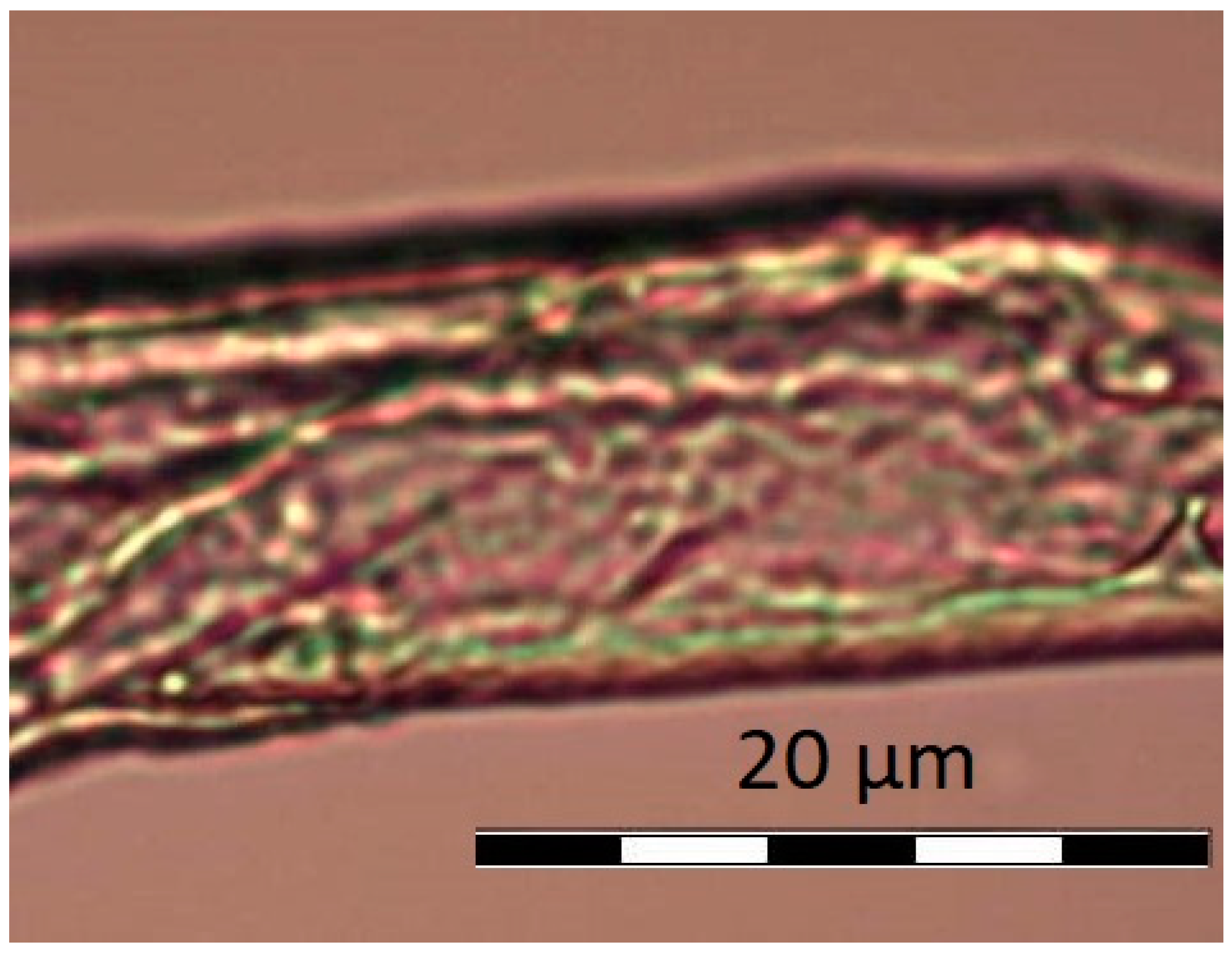 Materials 11 02143 g004