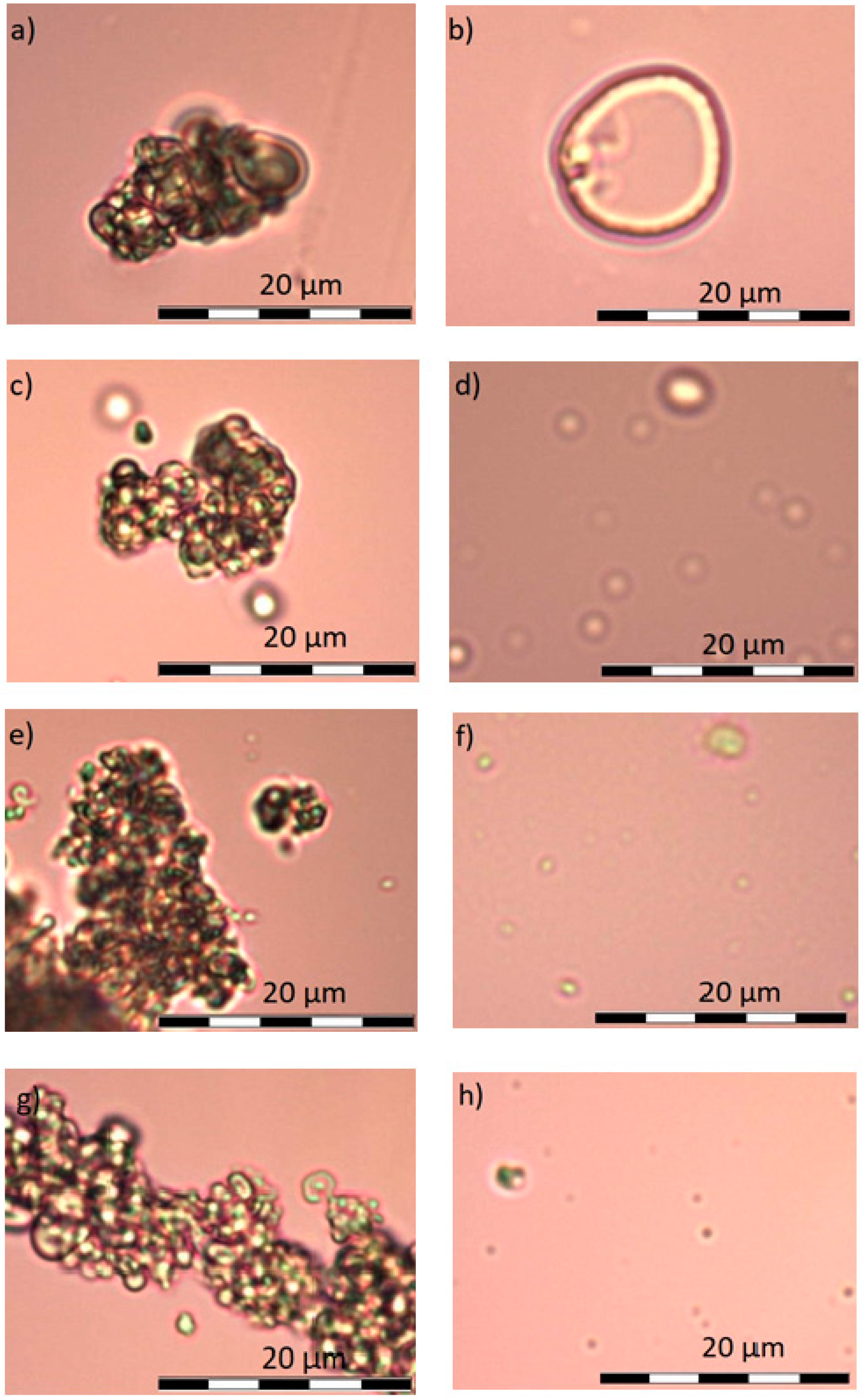 Materials 11 02143 g006