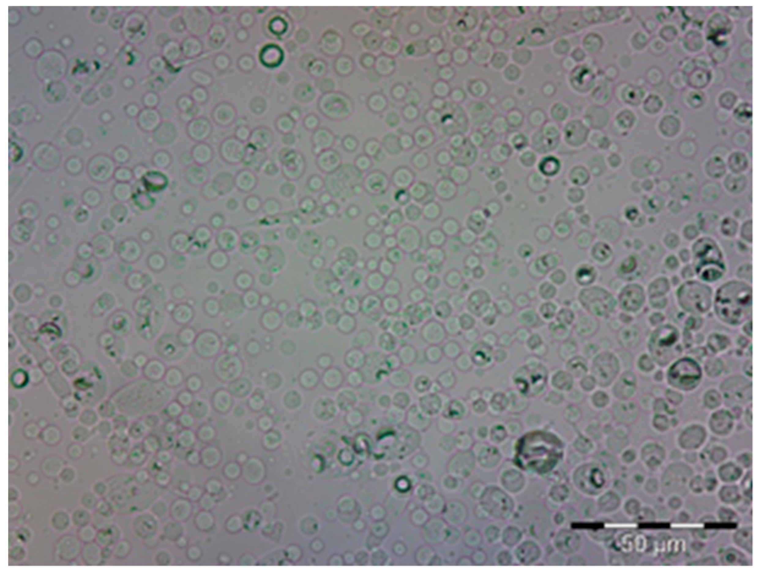 Materials 11 02152 g002 Materials 11 02152 g002