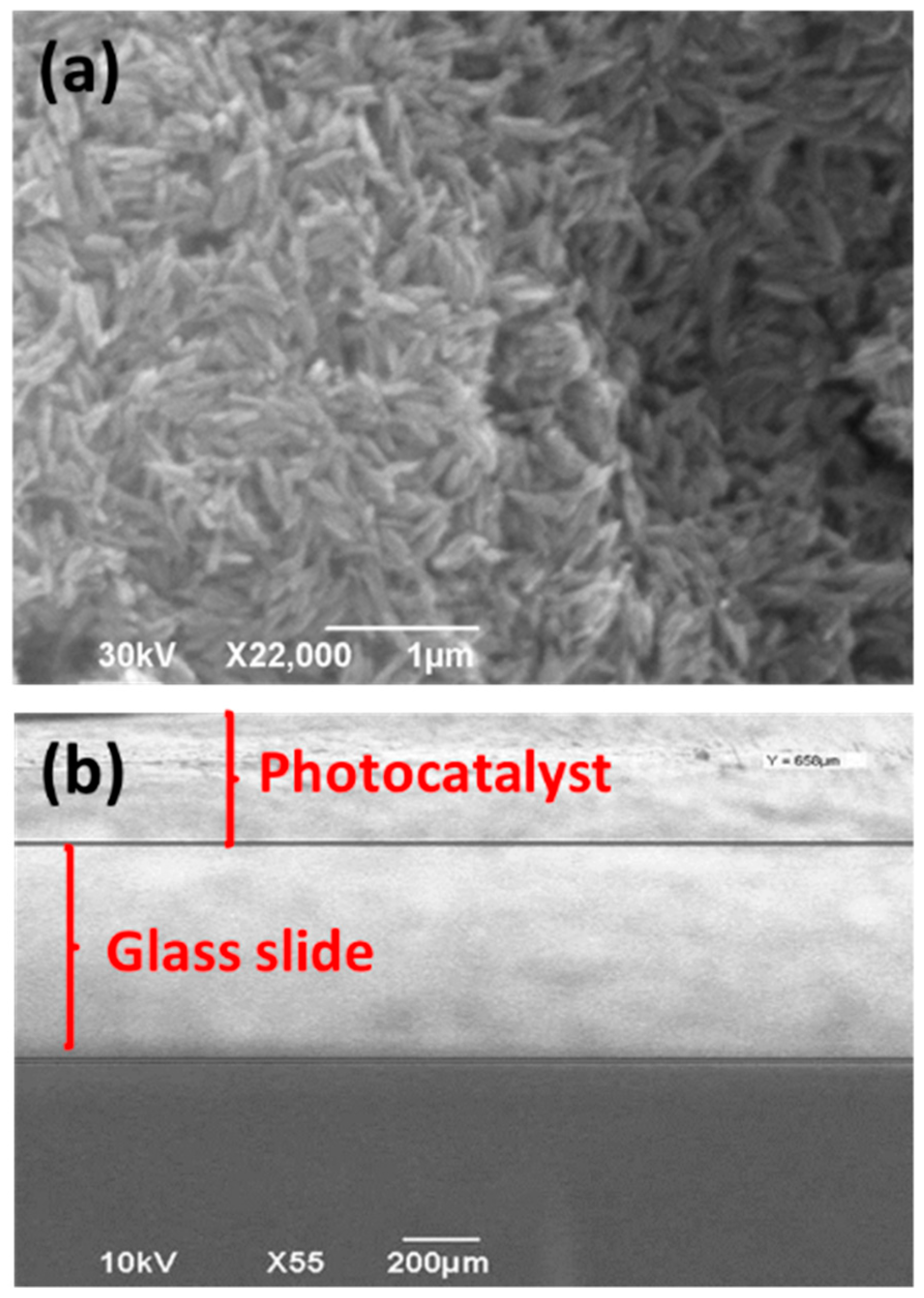 Materials 11 02158 g002 Materials 11 02158 g002