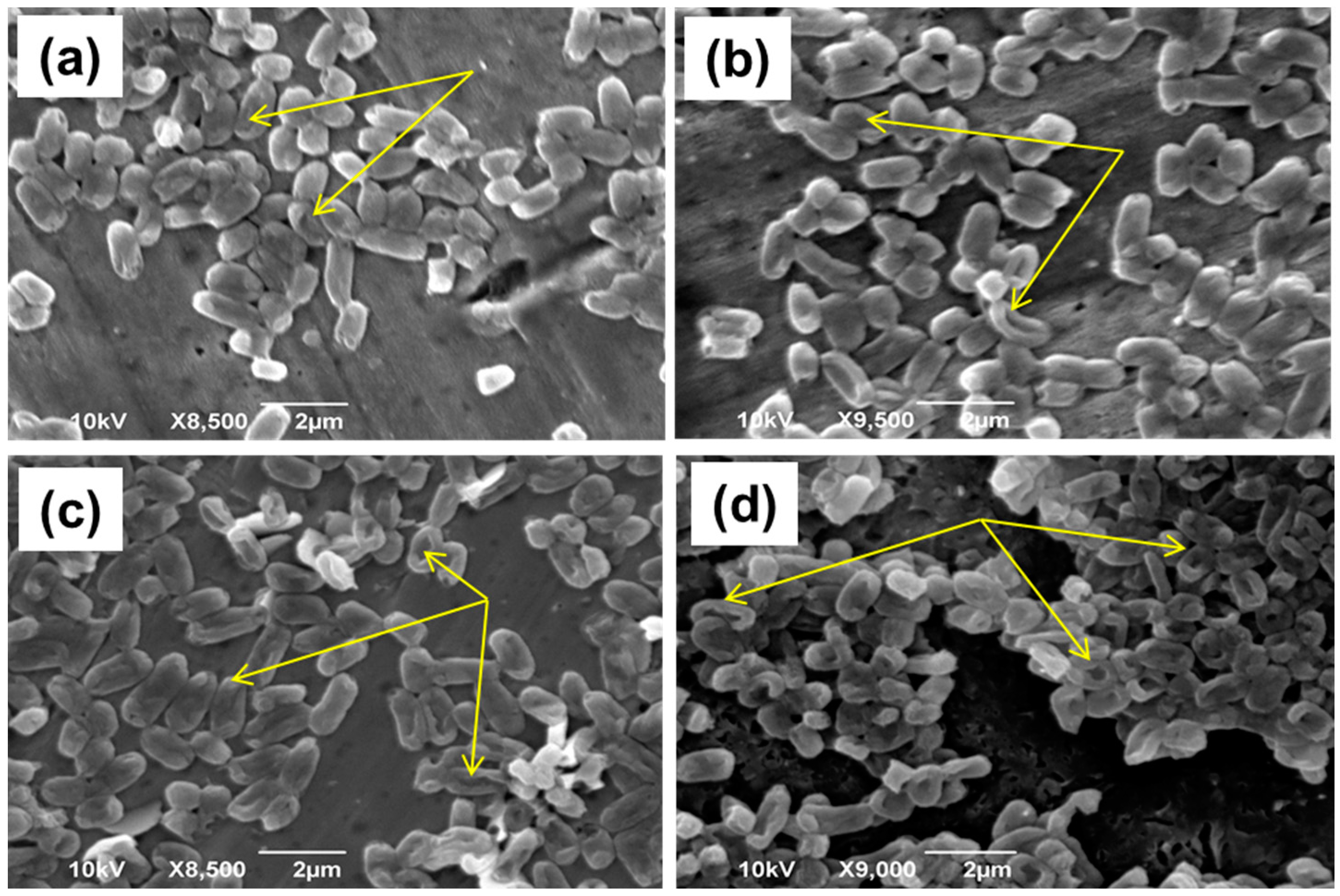 Materials 11 02158 g008 Materials 11 02158 g008