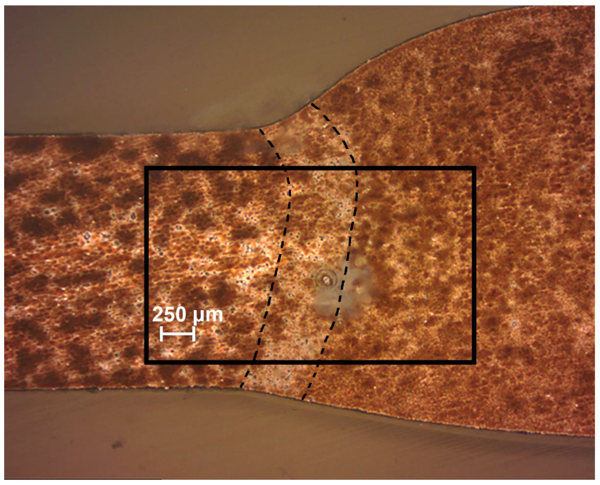 Materials 11 02177 g006 Materials 11 02177 g006