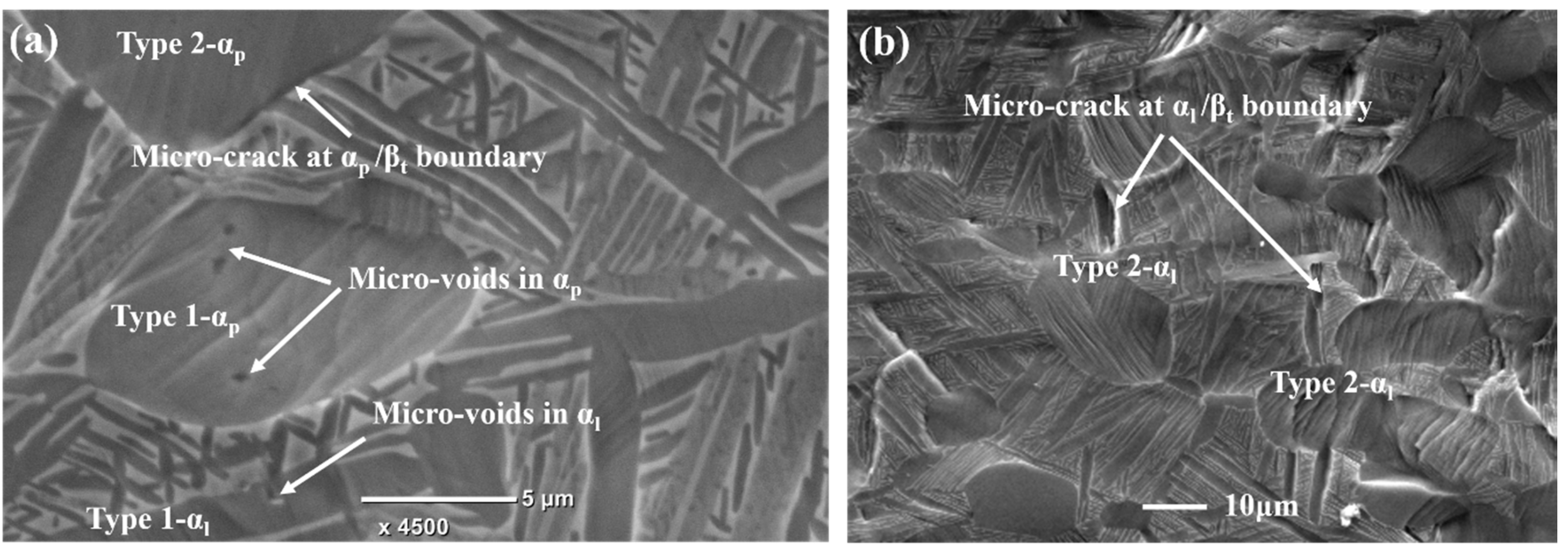Materials 11 02194 g010