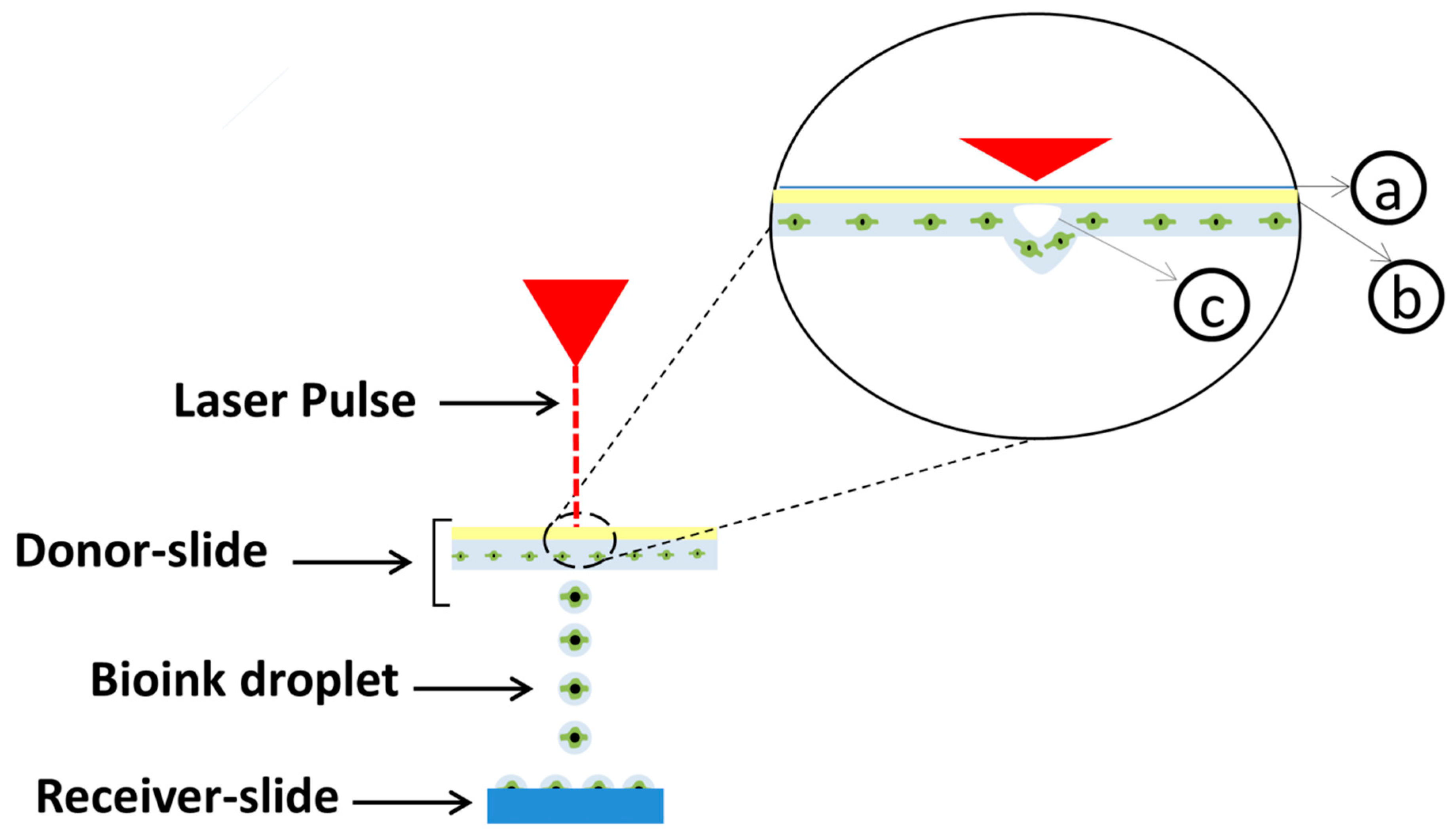 Materials 11 02199 g004