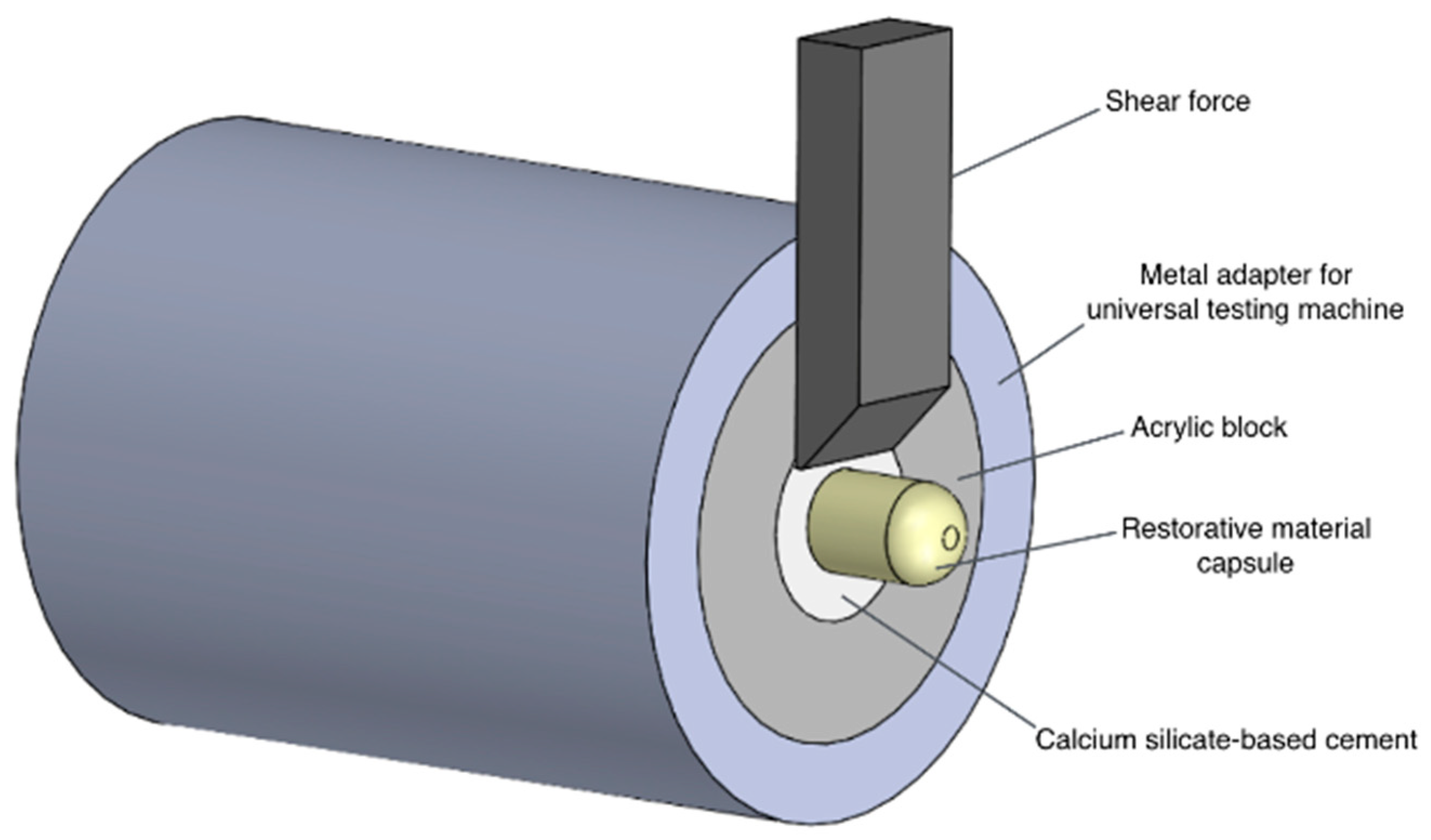 materials free full text does delayed restoration improve shear bond strength