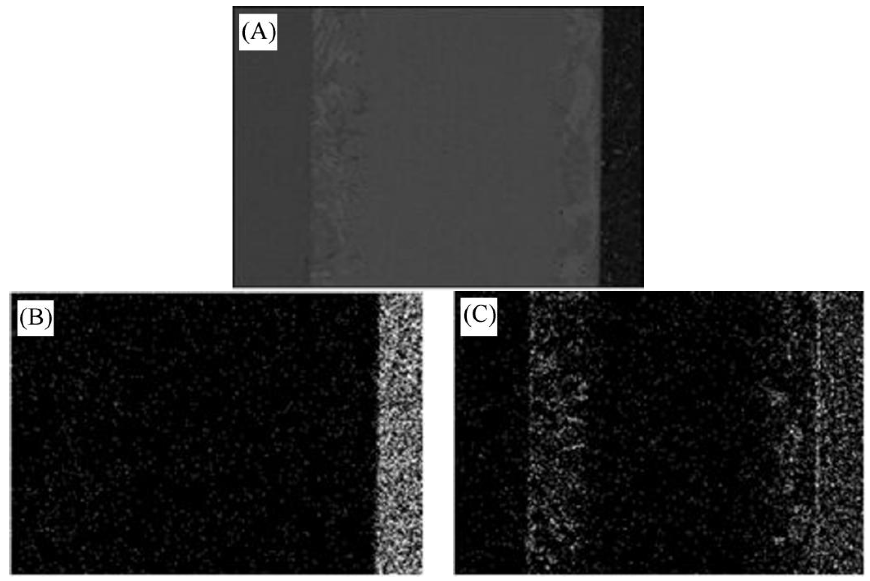 Materials 11 02226 g002a Materials 11 02226 g002a