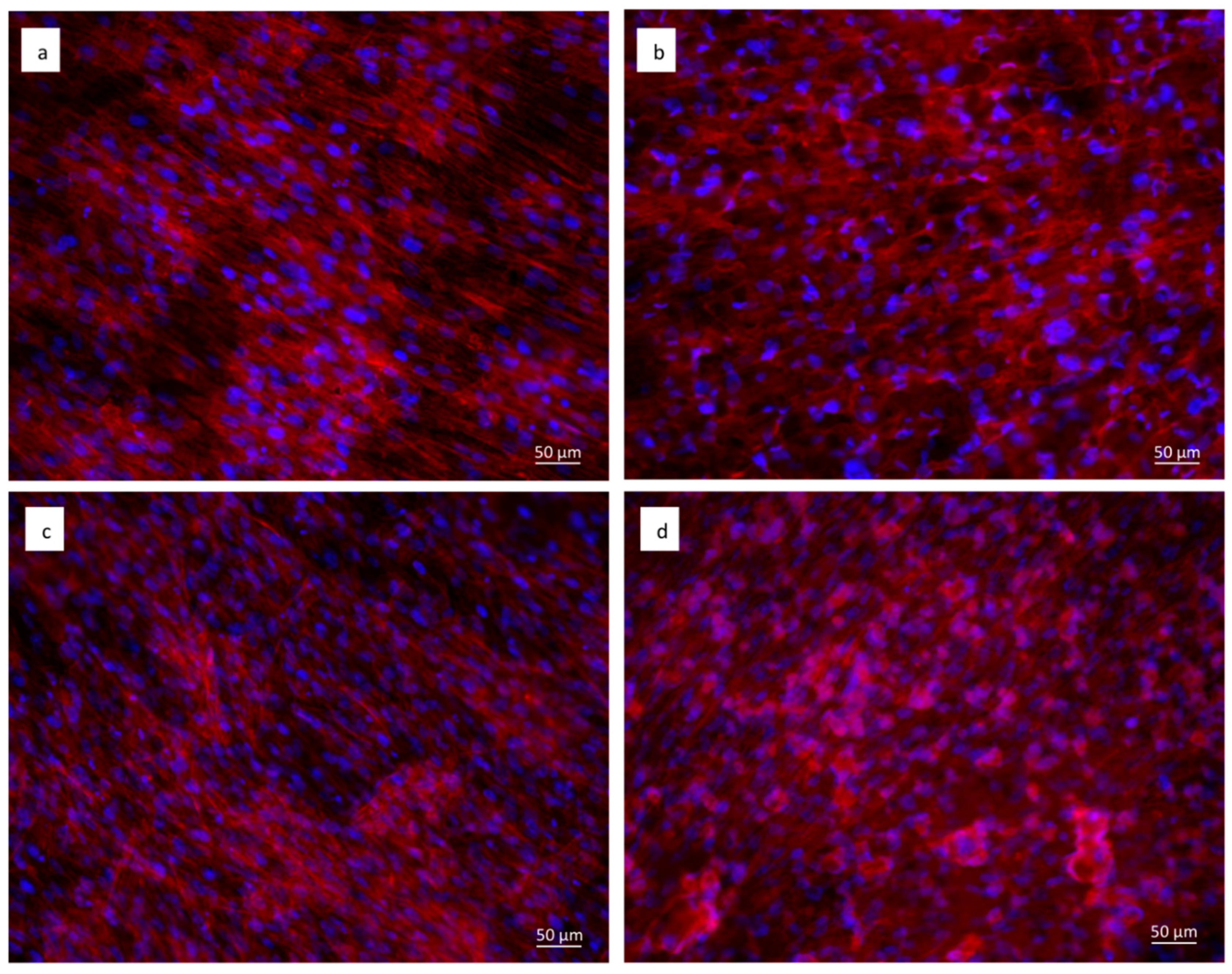 Materials 11 02234 g007 Materials 11 02234 g007