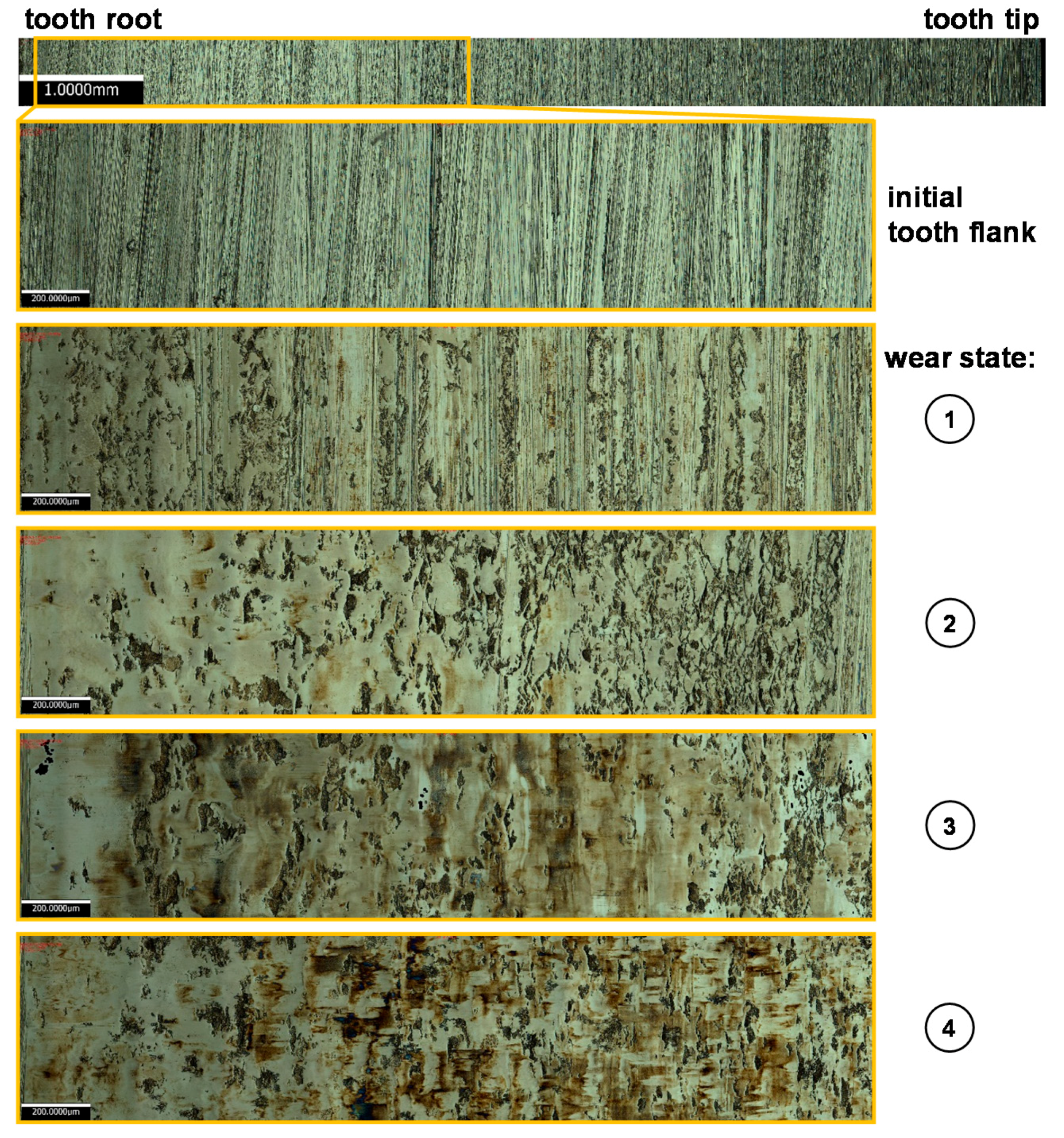 Materials 11 02290 g006 550