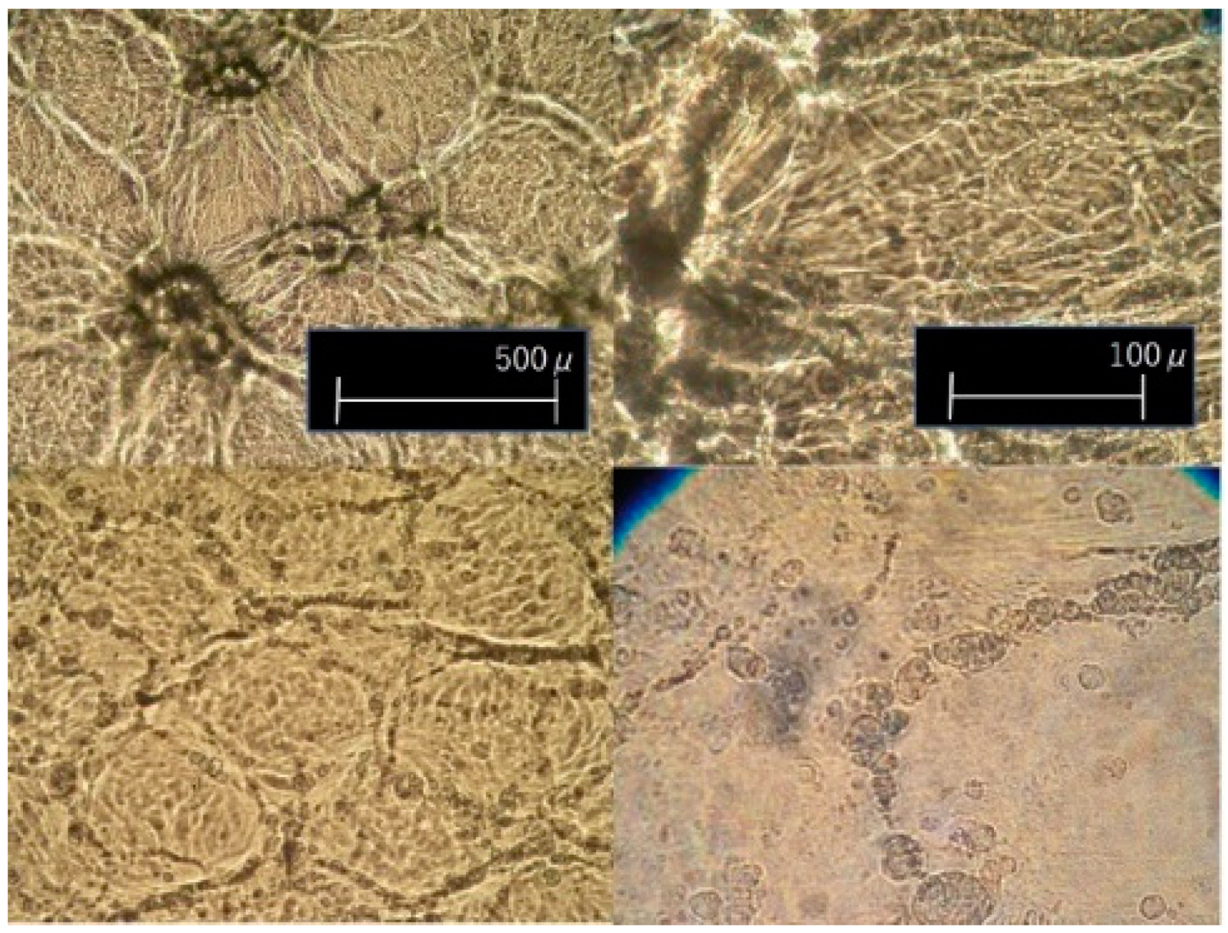 Materials 11 02292 g009