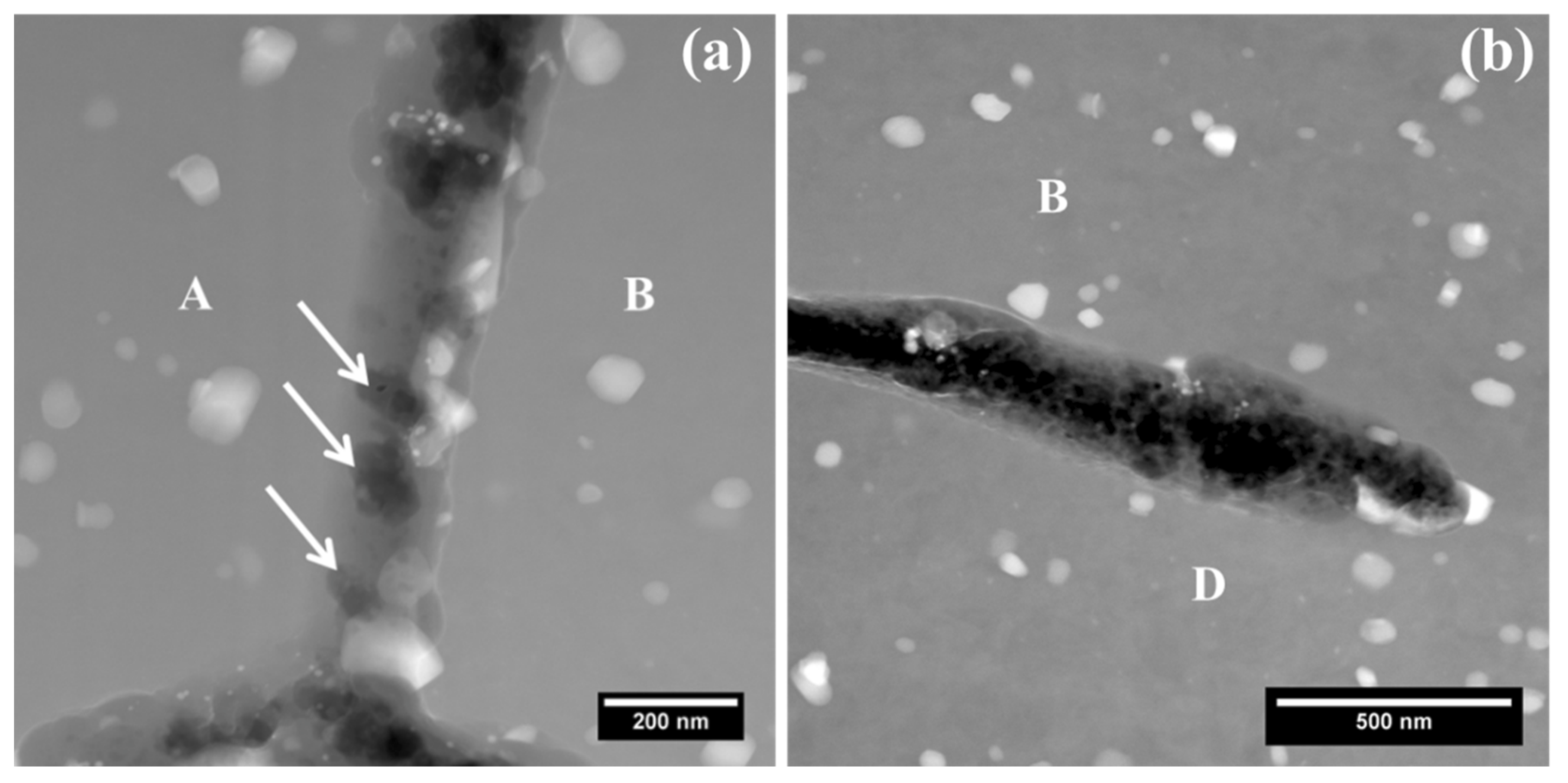 Materials 11 02299 g006