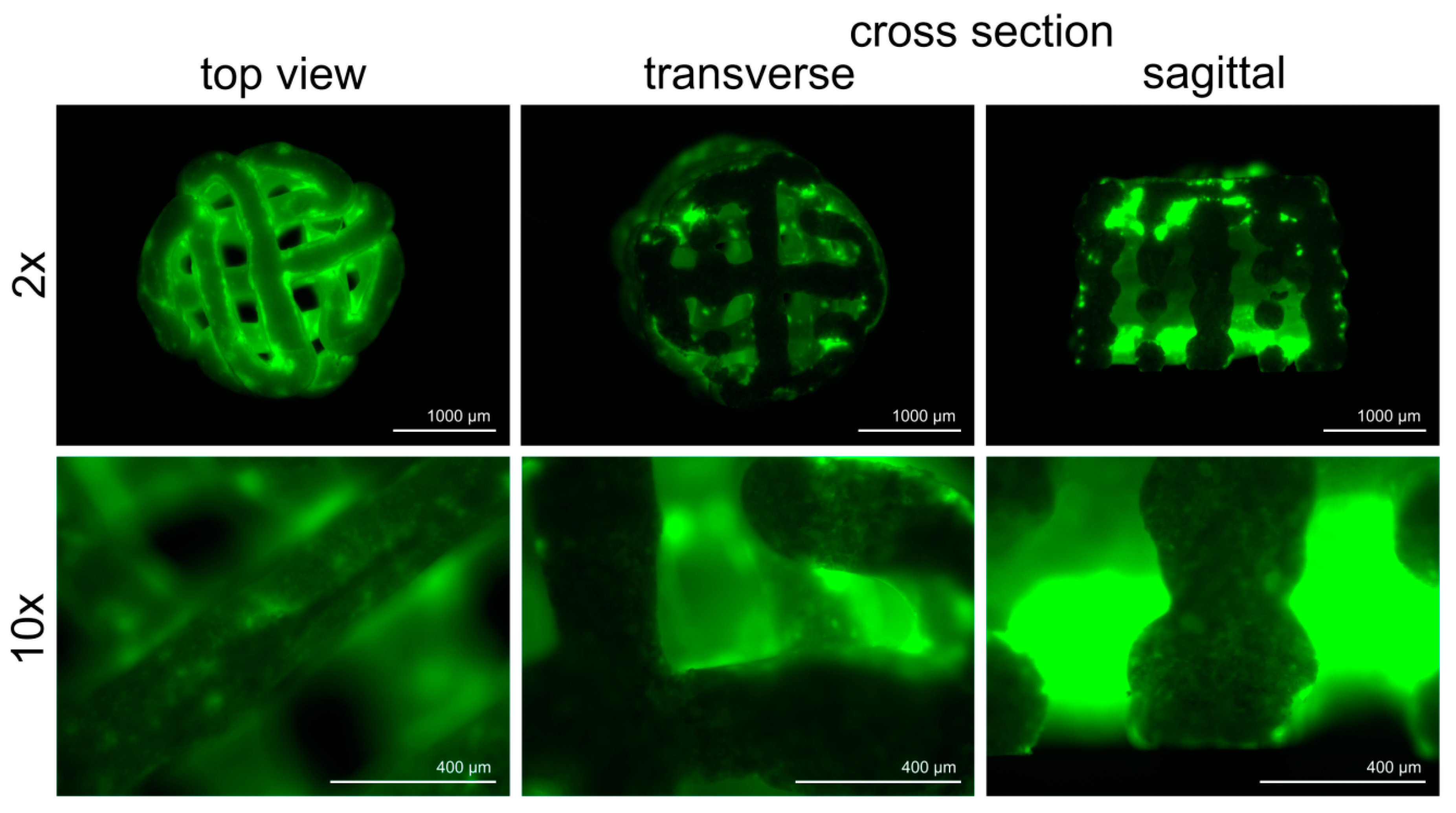 Materials 11 02336 g003