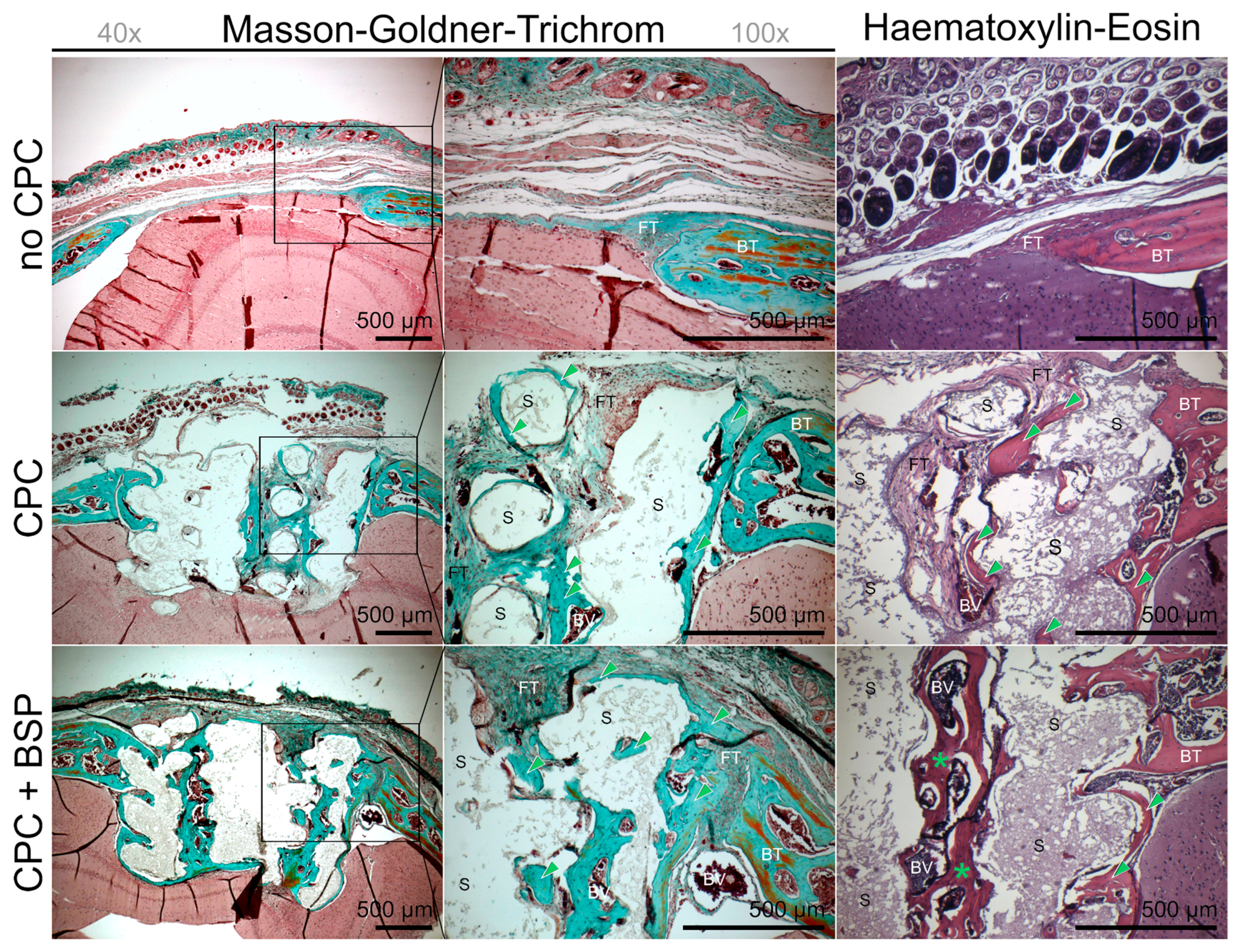 Materials 11 02336 g007