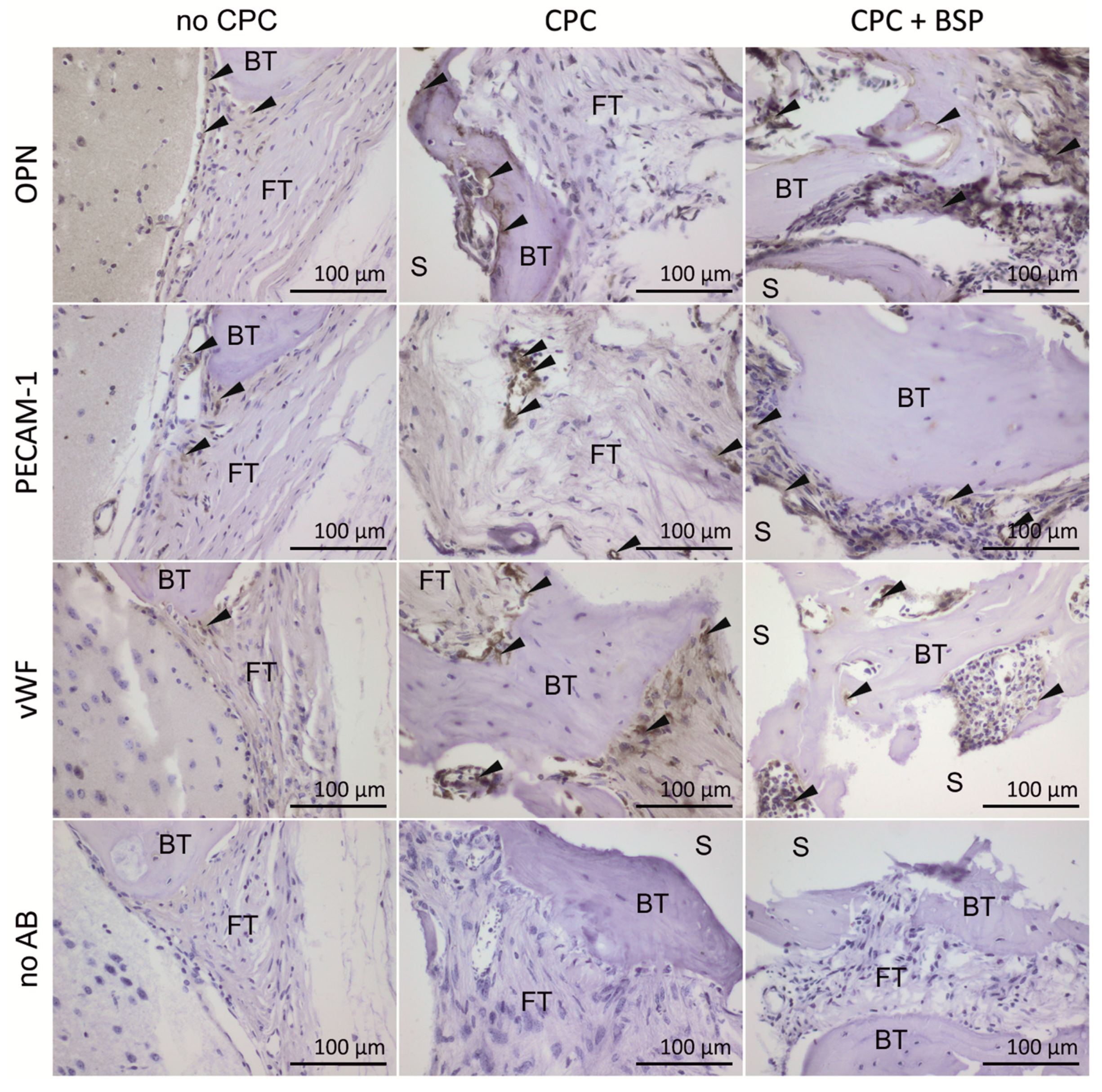 Materials 11 02336 g008