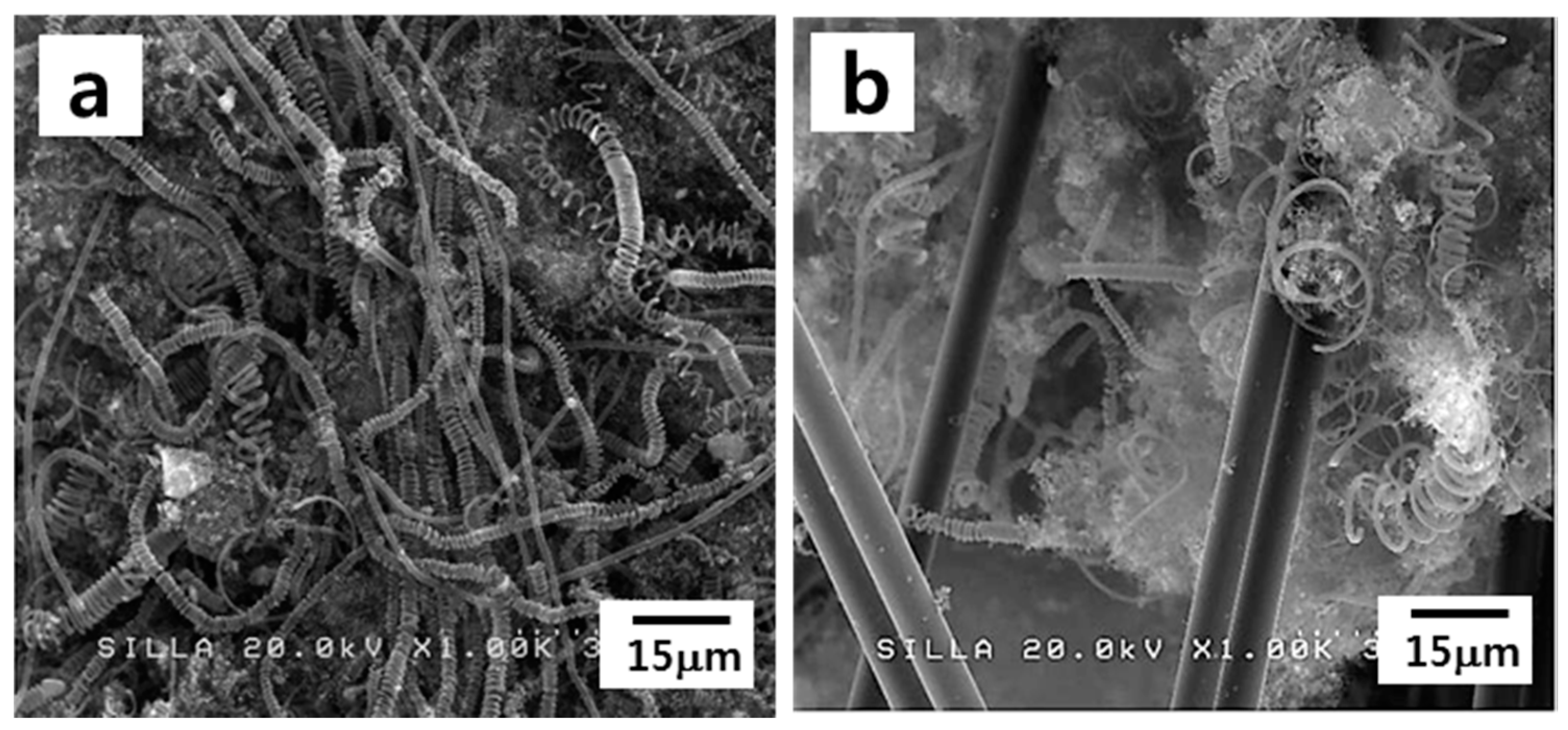 Materials 11 02344 g008 550