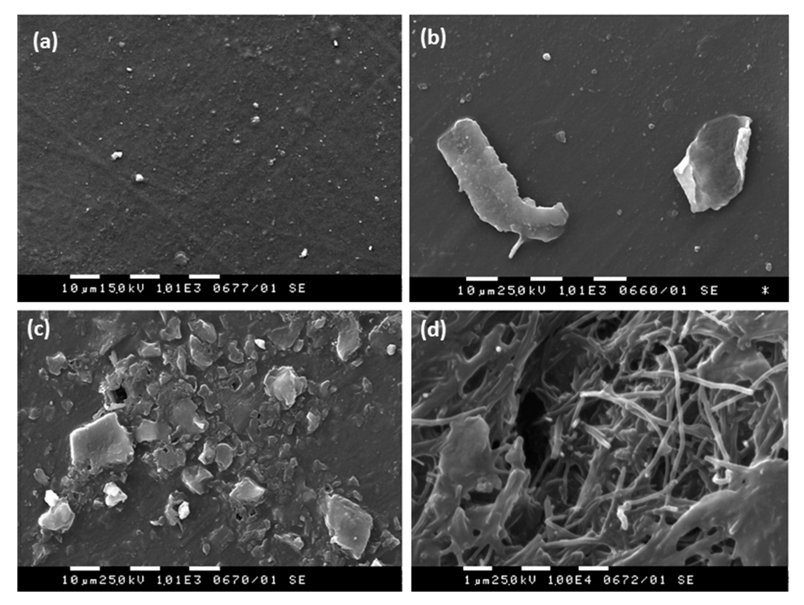 Materials 11 02346 g002