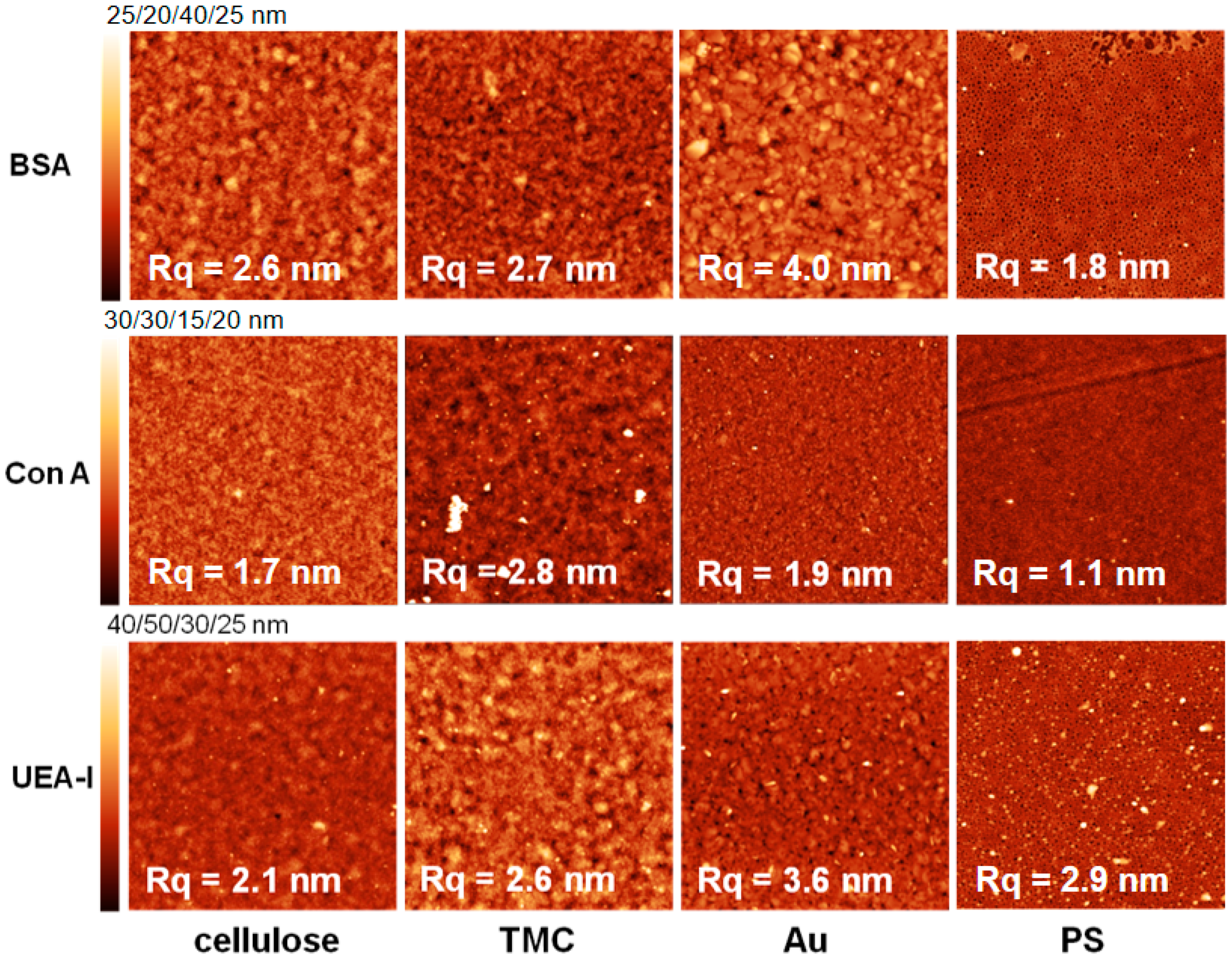 Materials 11 02348 g006
