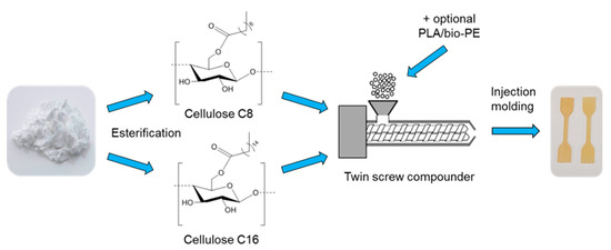 Injection Molding of Thermoplastic Cellulose Esters and Their