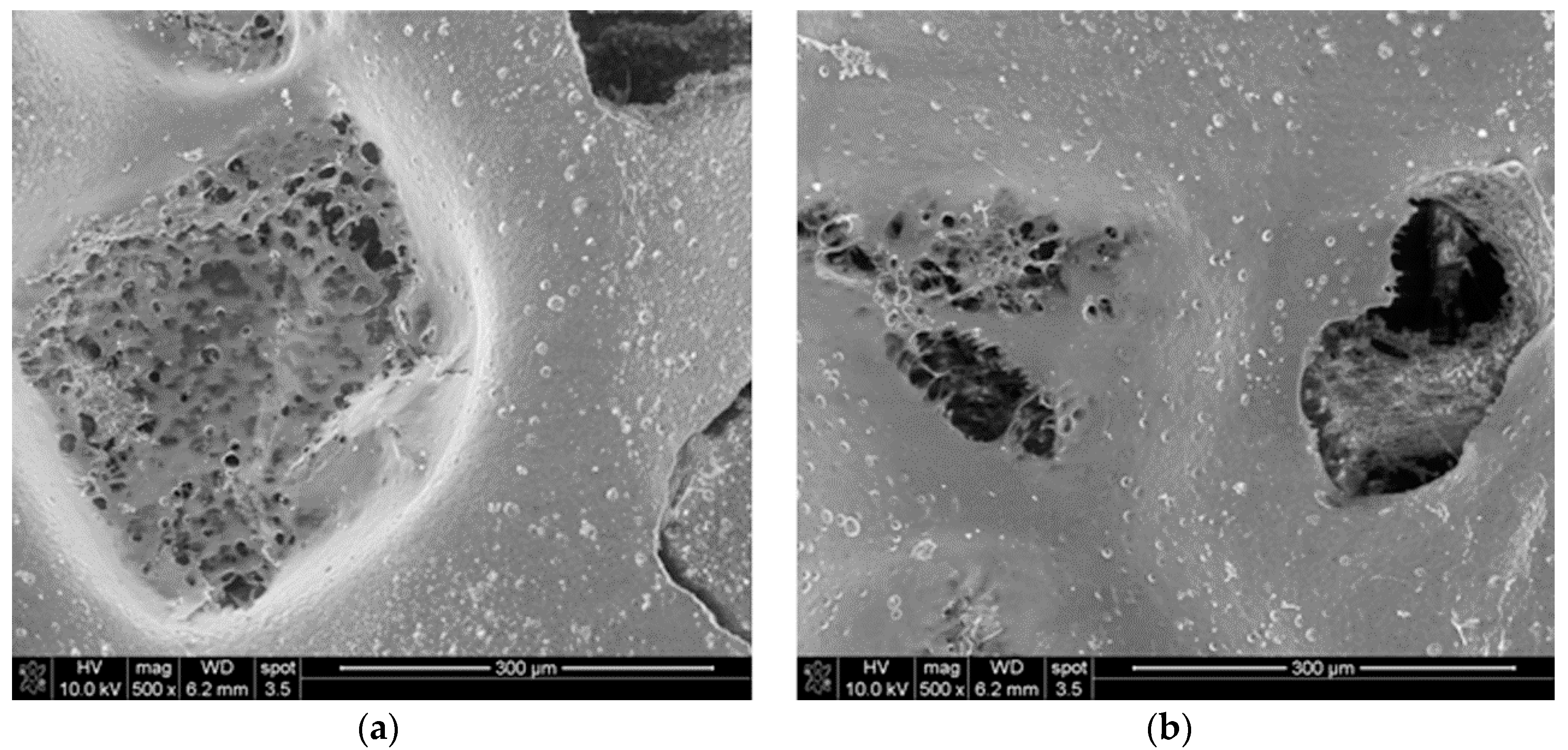 Materials 11 02359 g006