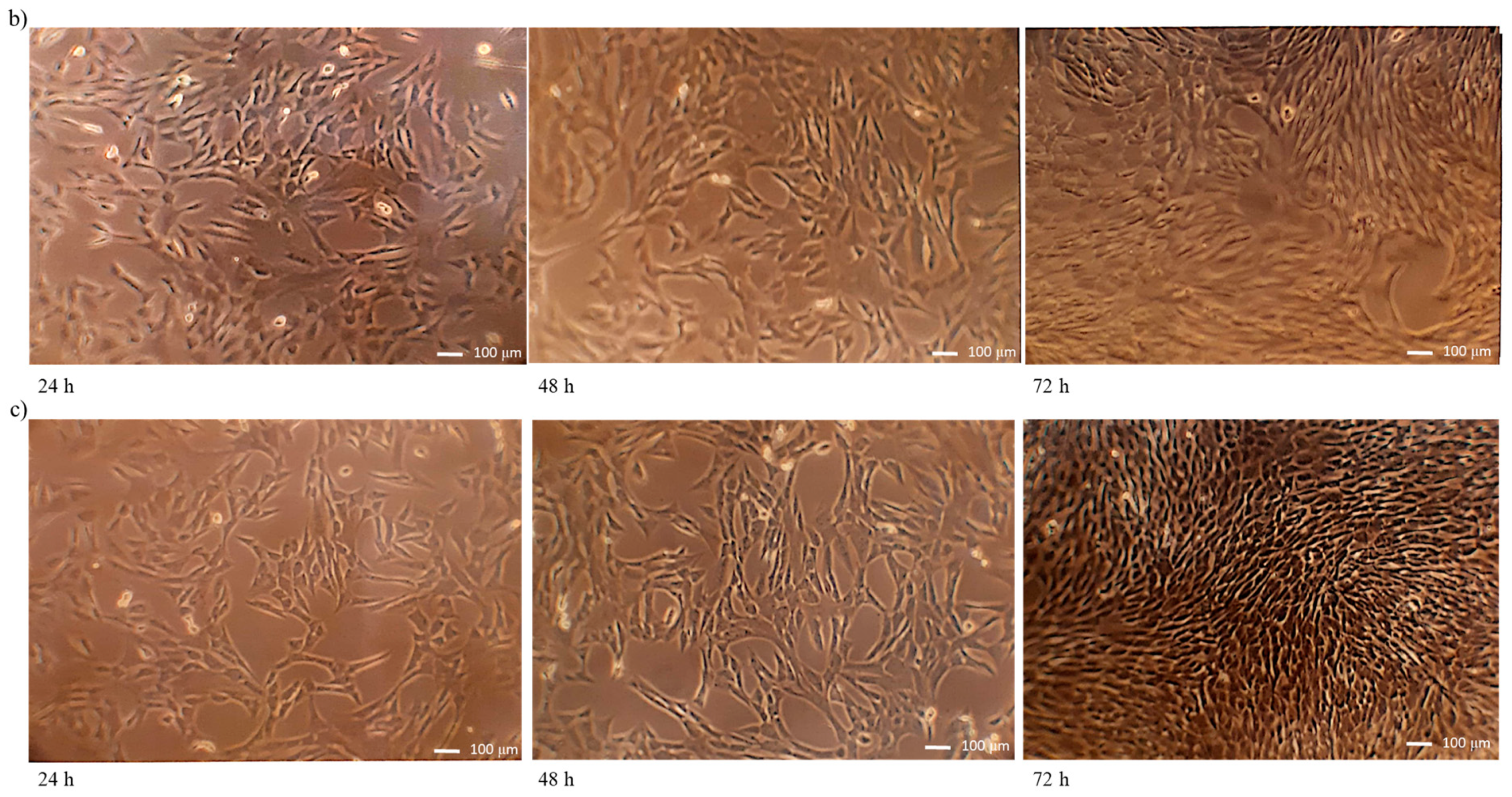 Materials 11 02359 g007b