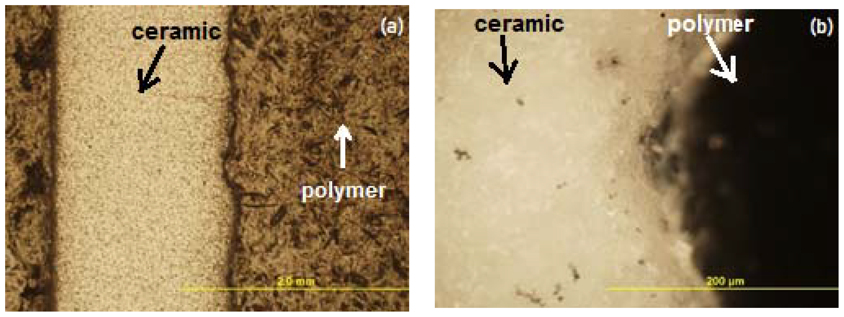 Materials 11 02361 g008