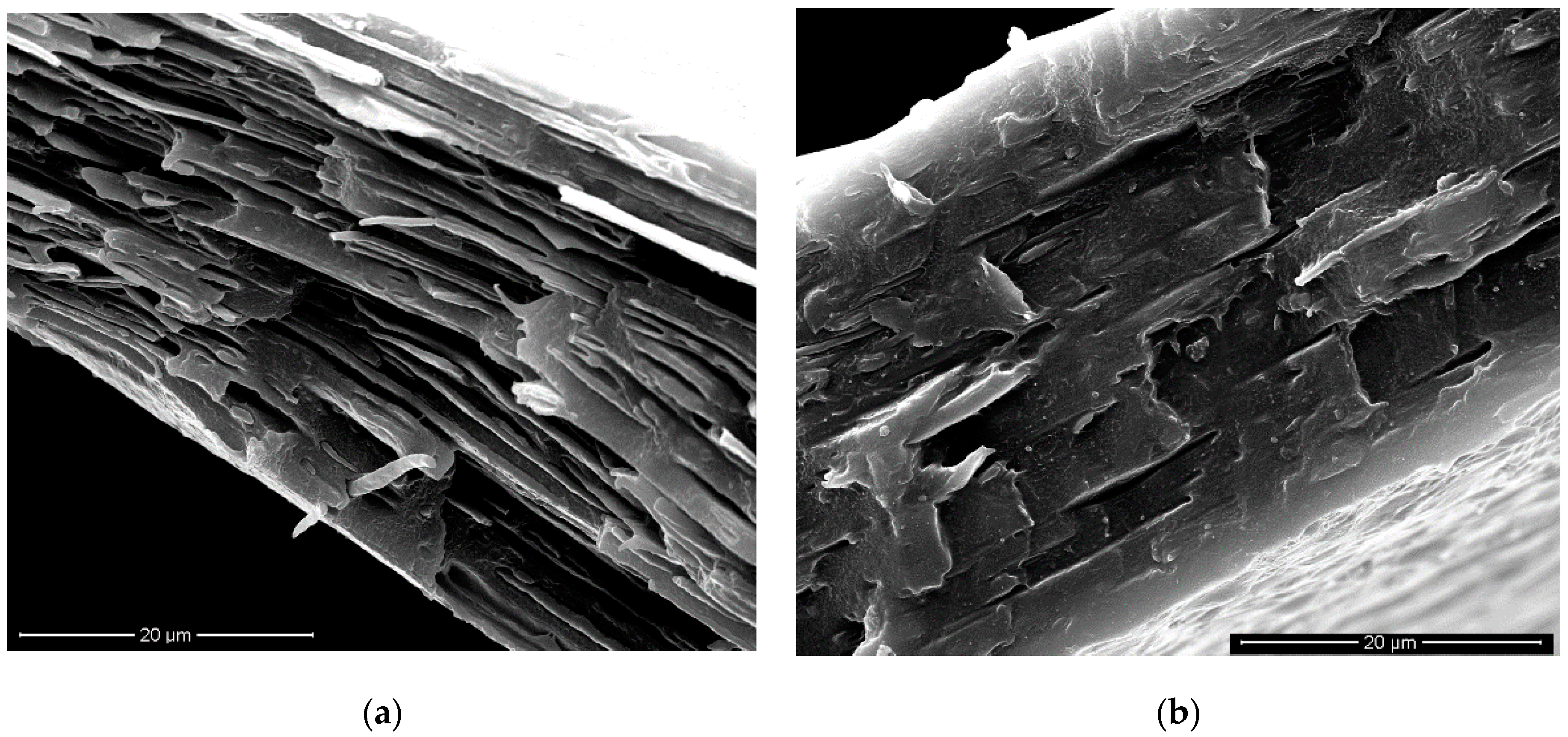 Materials 11 02375 g008 550