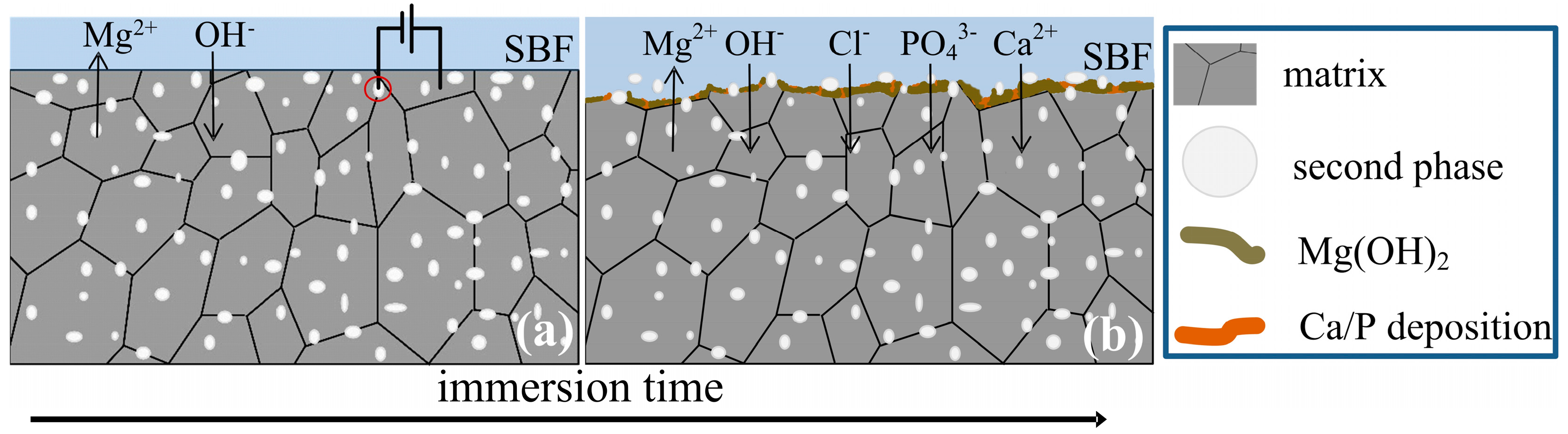 quantifying soil microstructure using fractals in forex