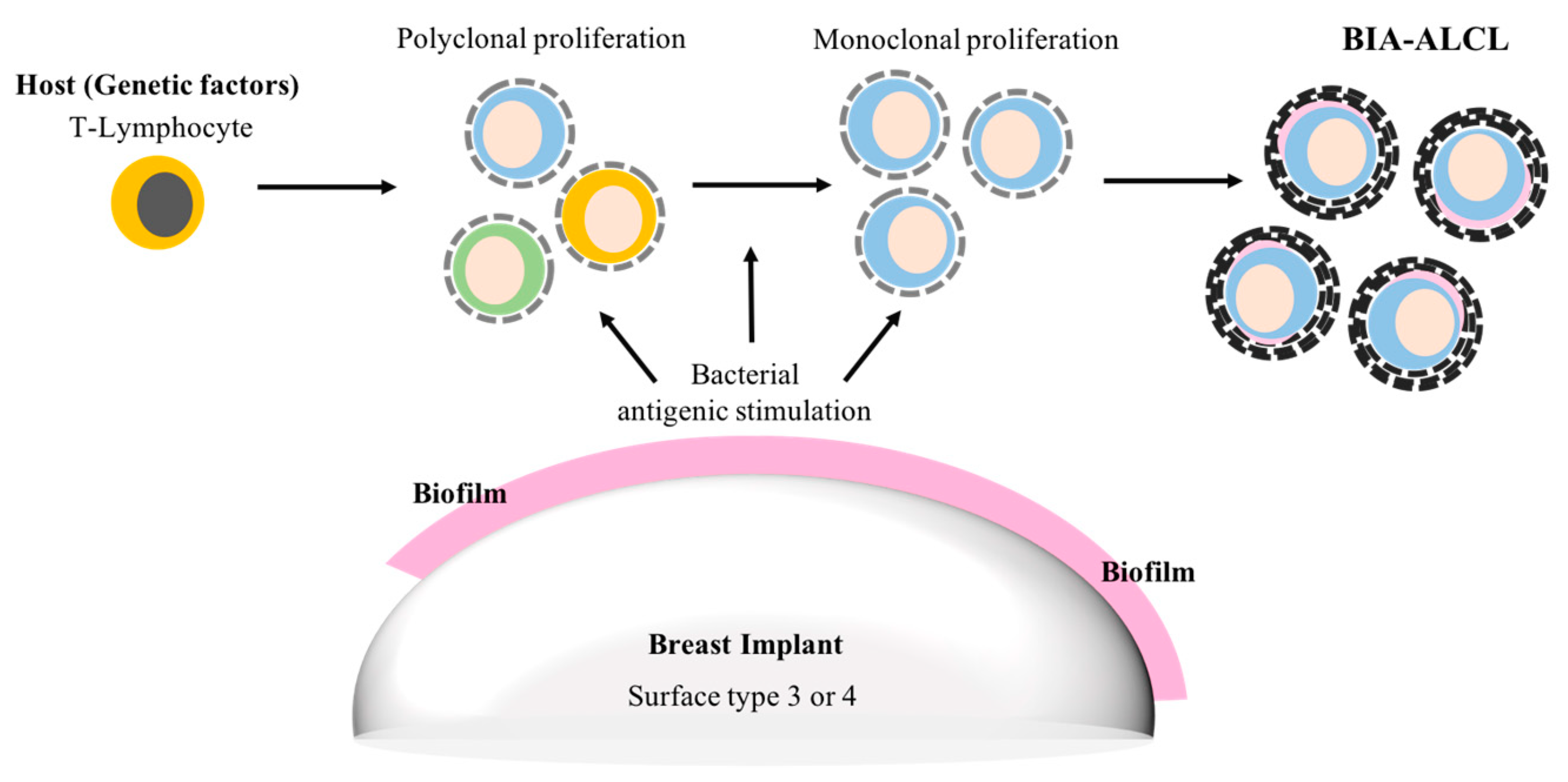 Materials 11 02393 g002 Materials 11 02393 g002