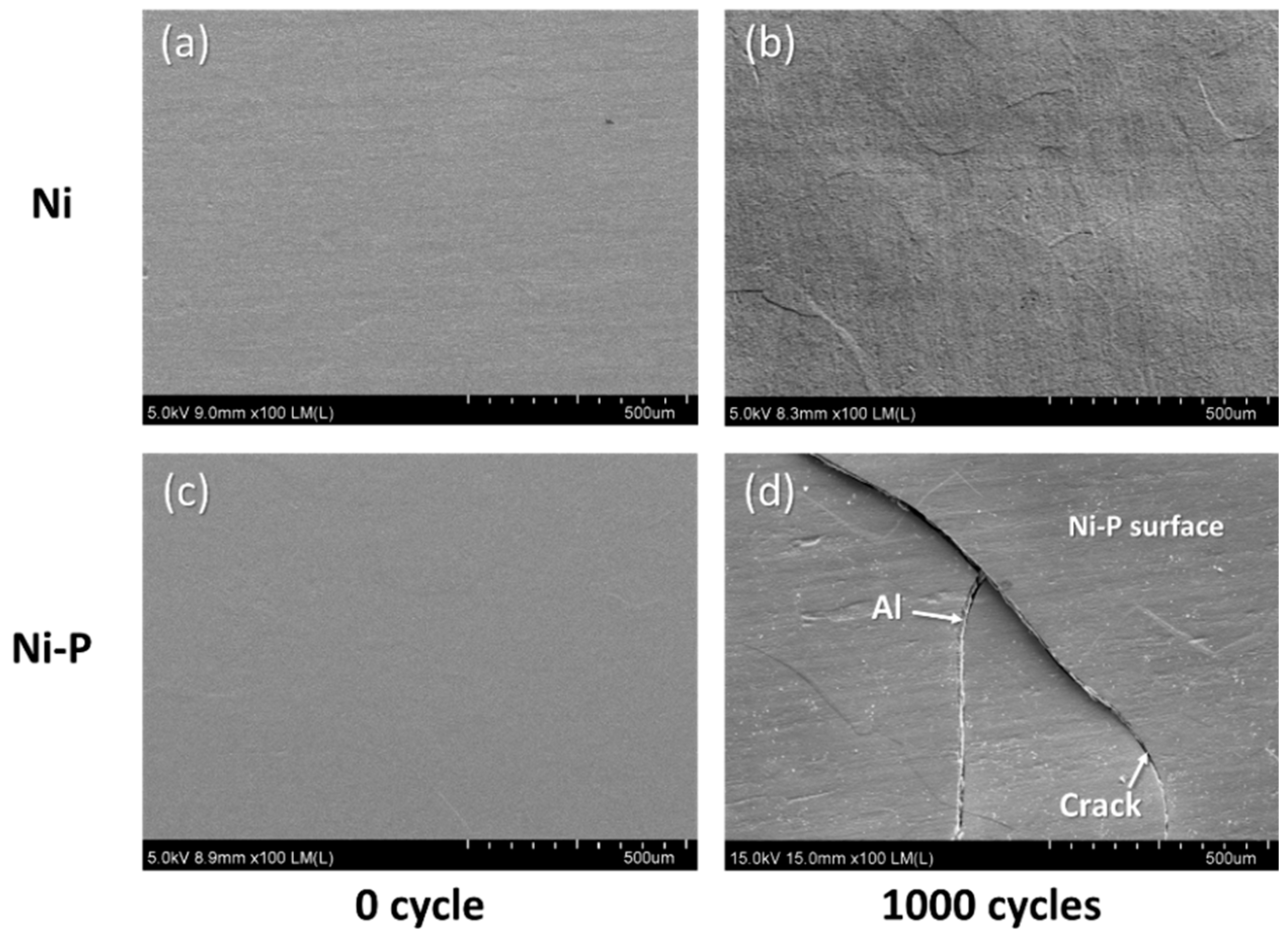 Materials 11 02394 g007