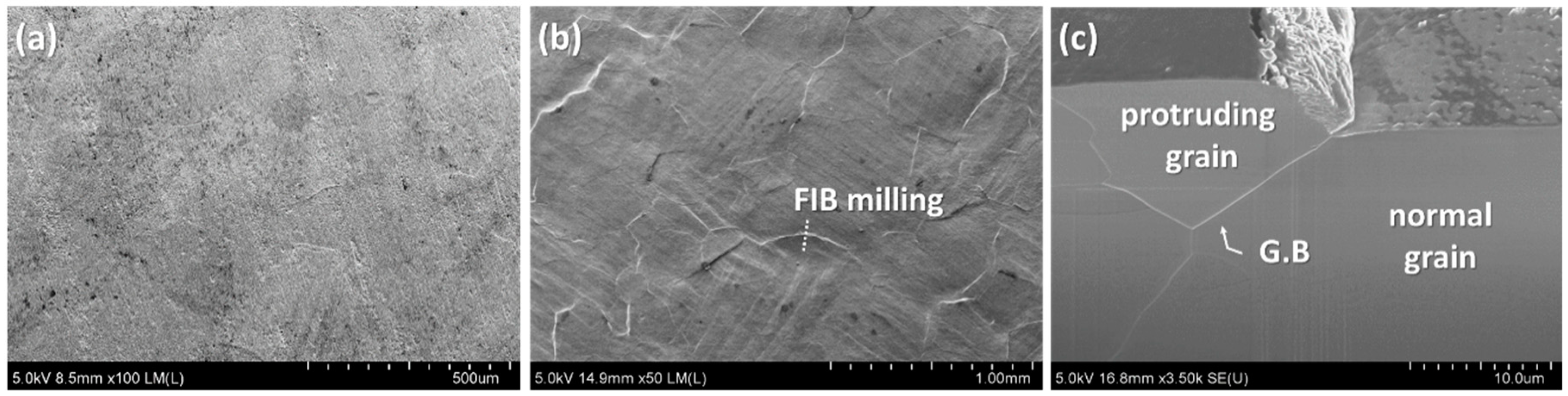 Materials 11 02394 g012