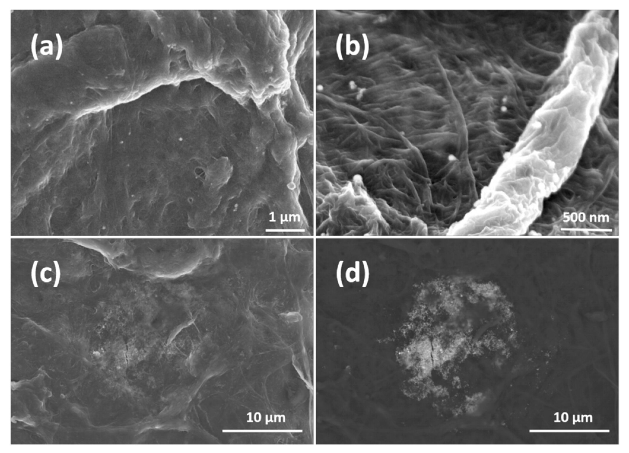 Materials 11 02412 g003