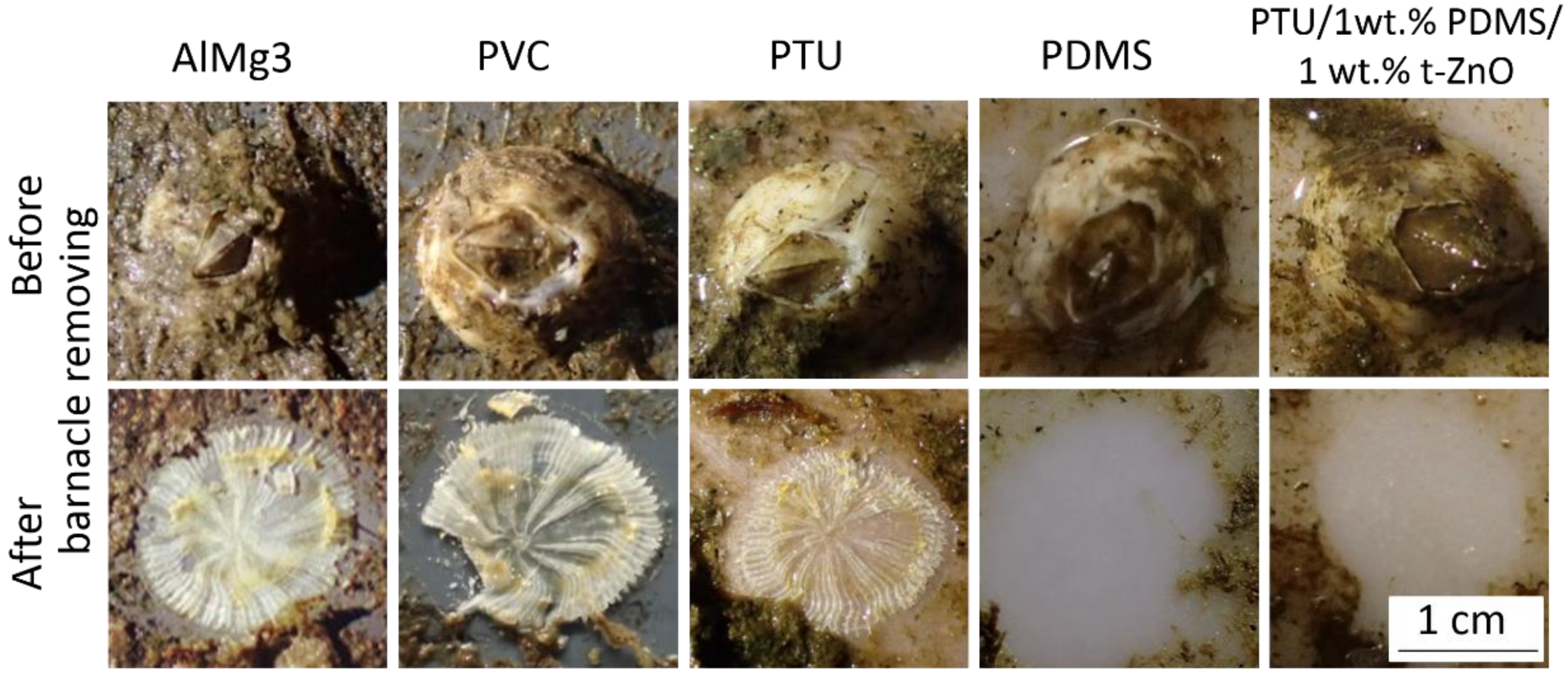 Materials 11 02413 g007 Materials 11 02413 g007