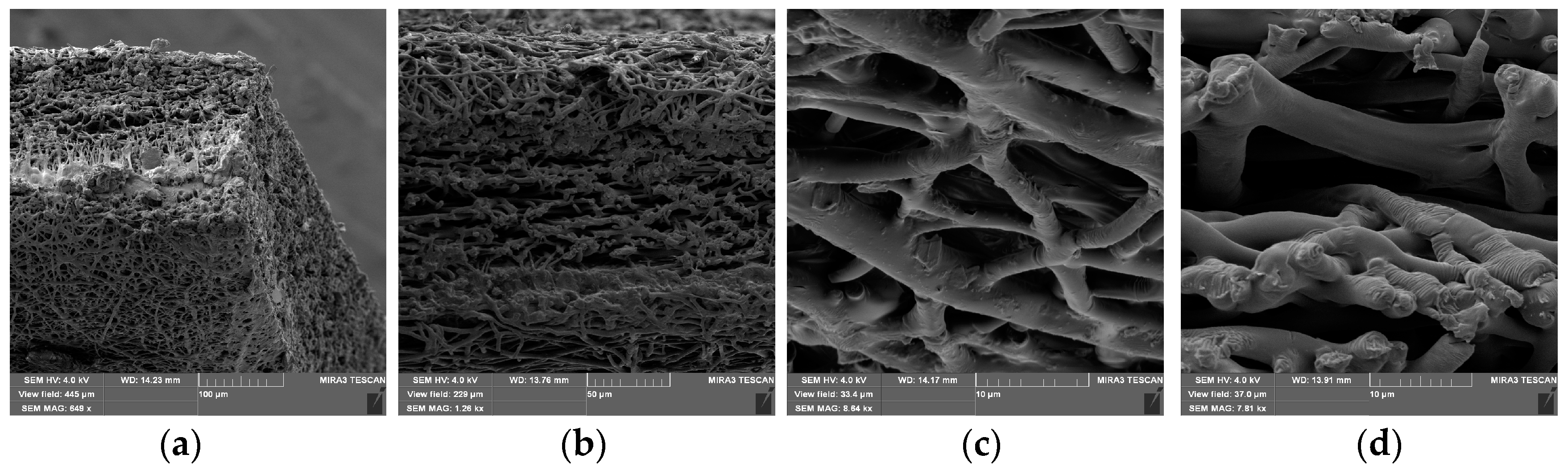 Materials 11 02416 g001 Materials 11 02416 g001