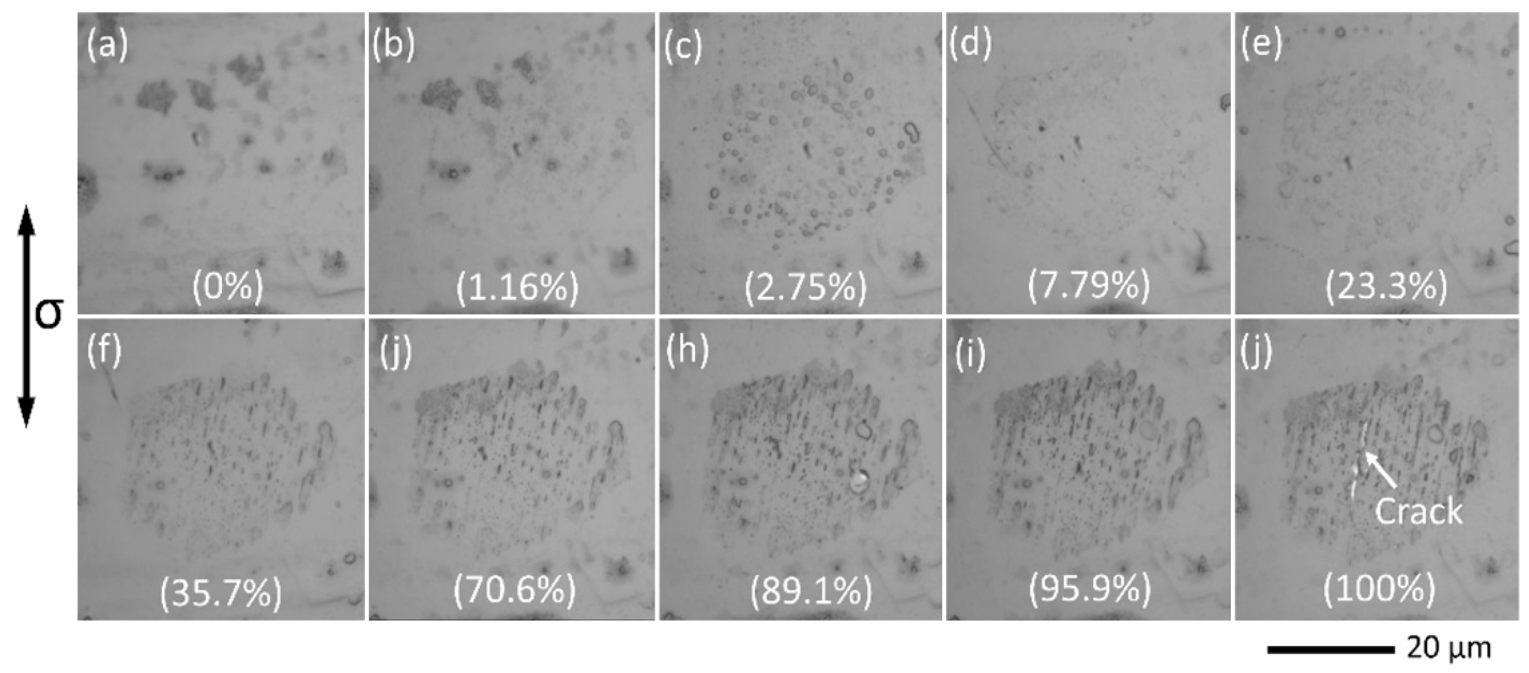 Materials 11 02429 g004 Materials 11 02429 g004