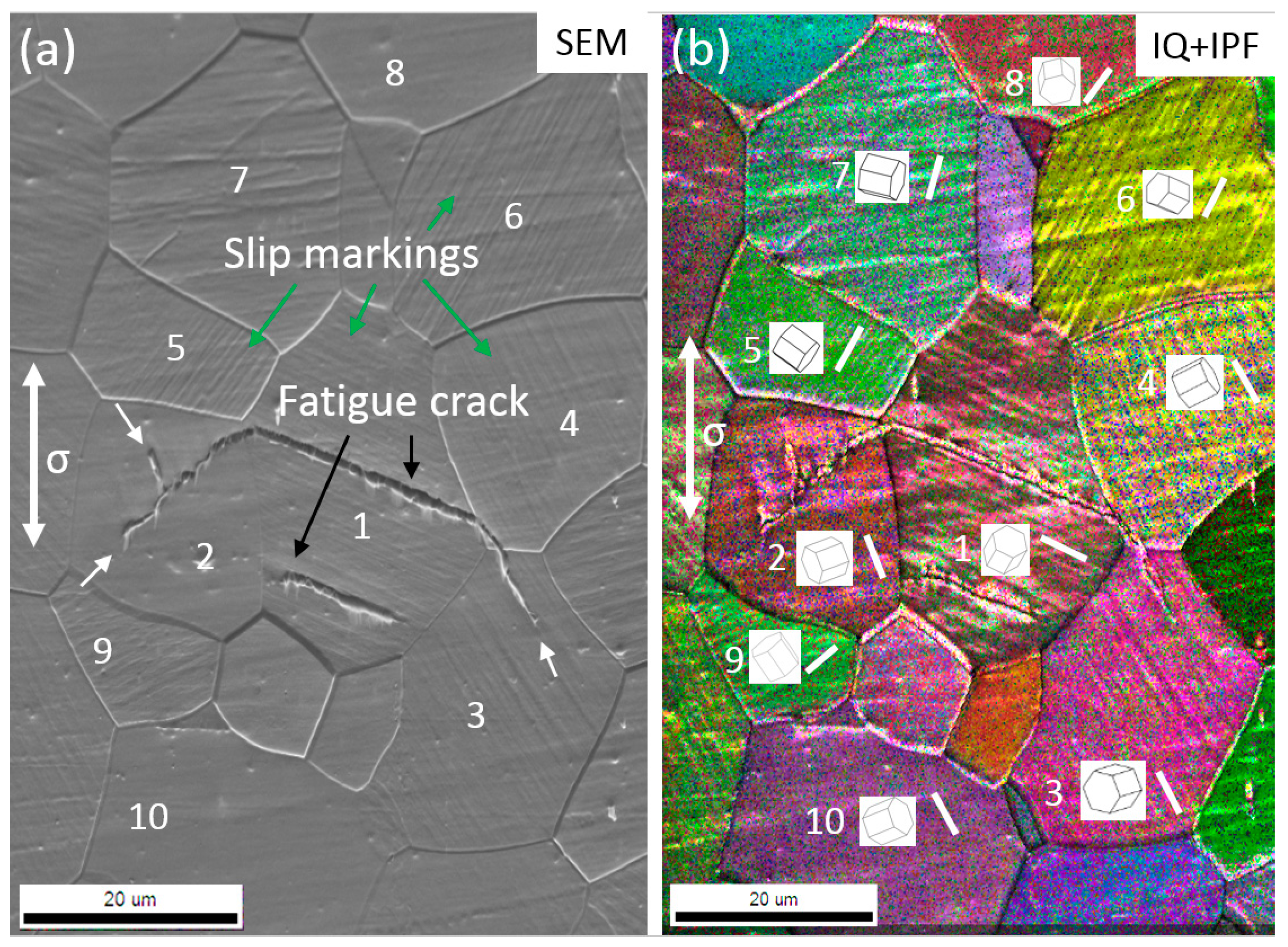 Materials 11 02429 g005 Materials 11 02429 g005
