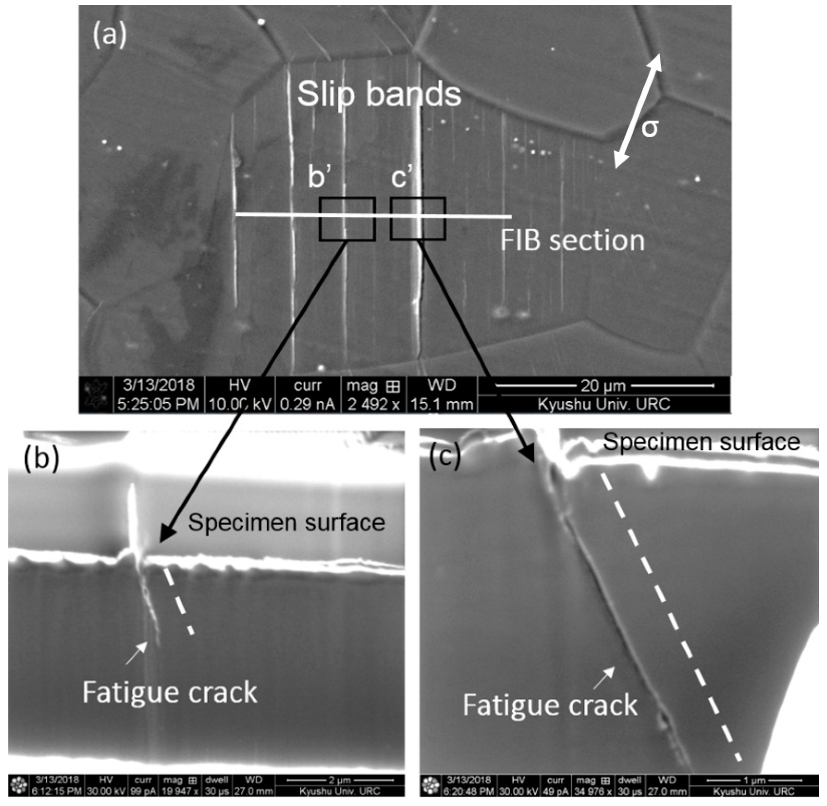 Materials 11 02429 g006 Materials 11 02429 g006