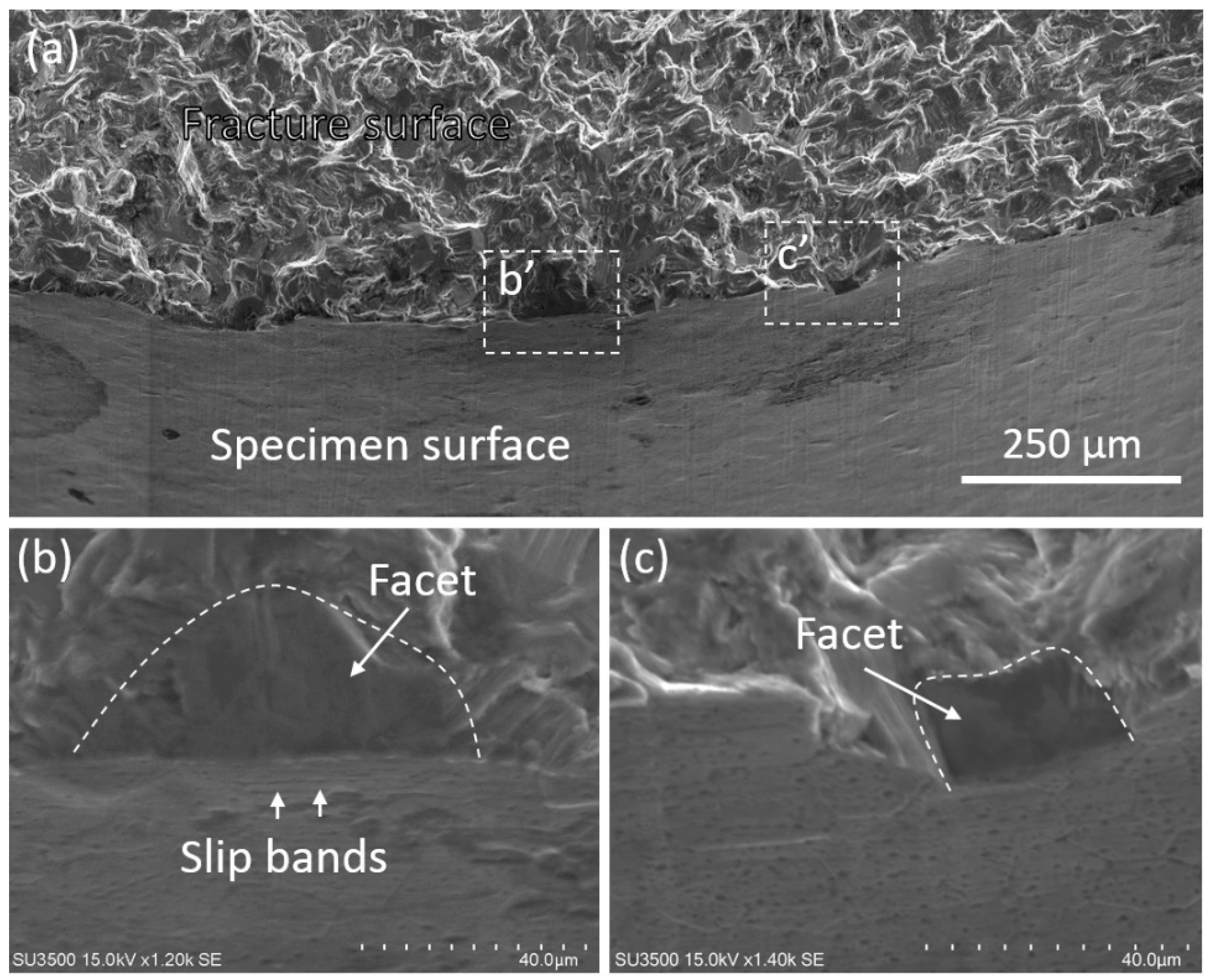 Materials 11 02429 g007 Materials 11 02429 g007