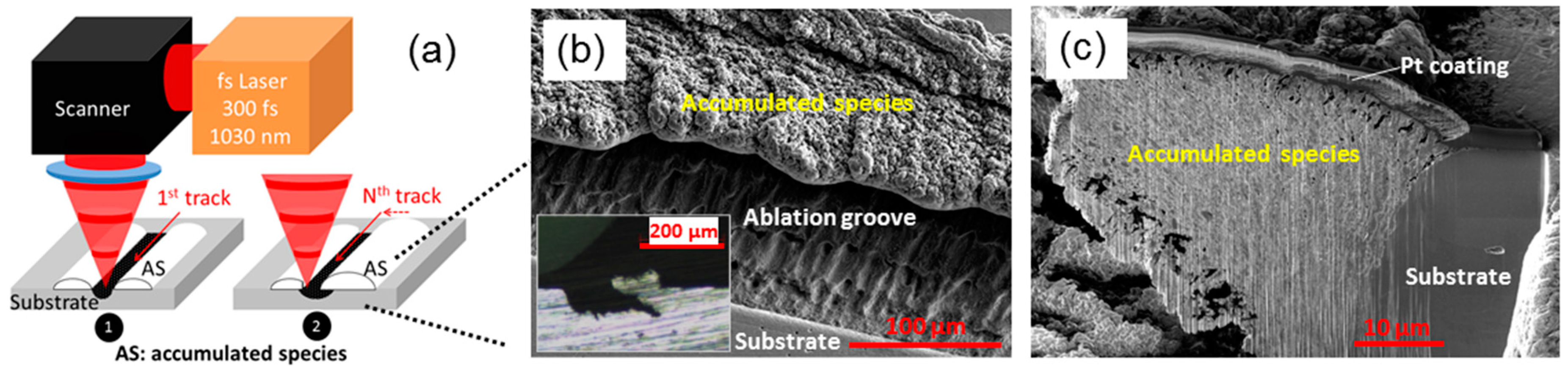 Materials 11 02456 g001