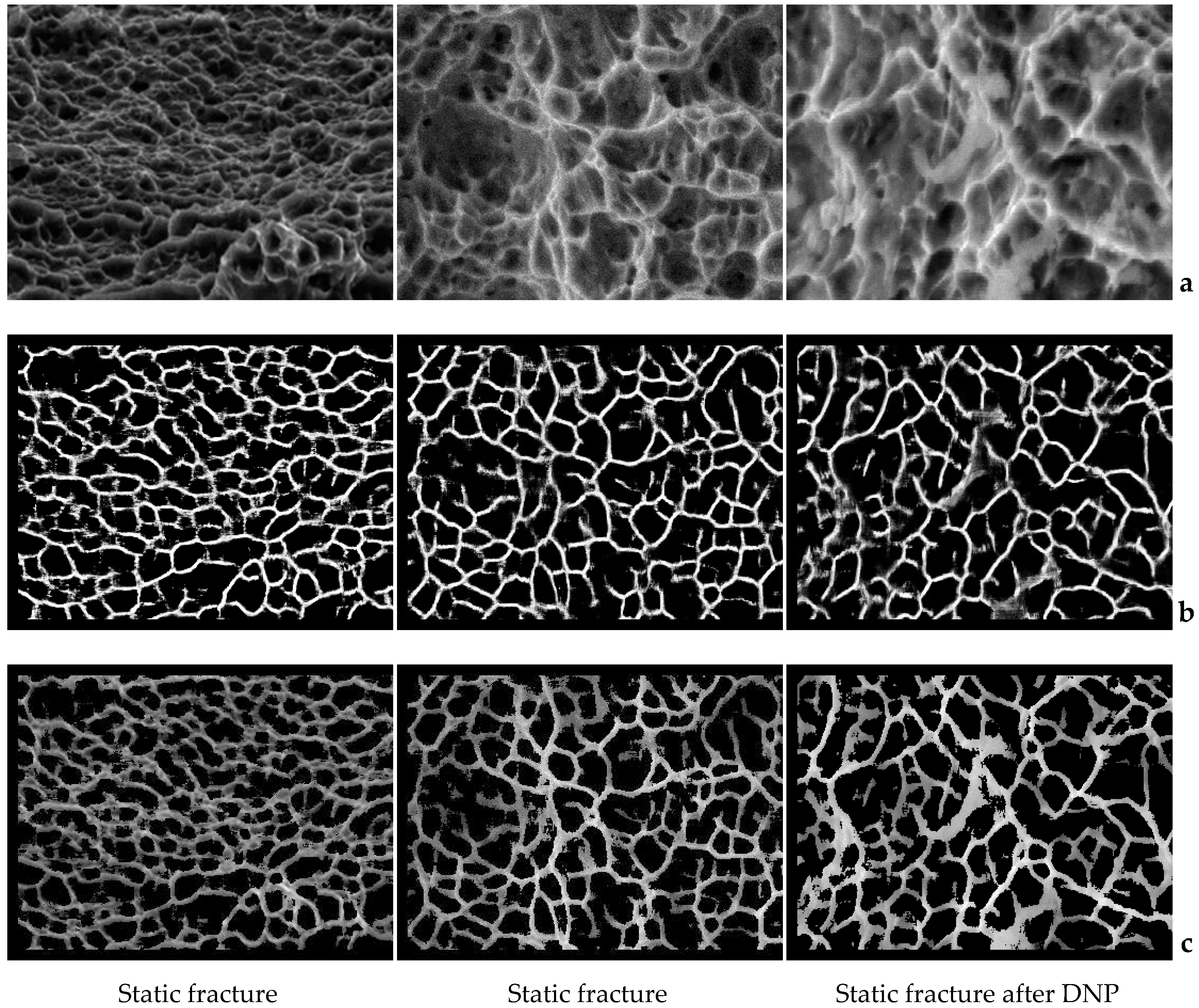 Materials 11 02467 g006